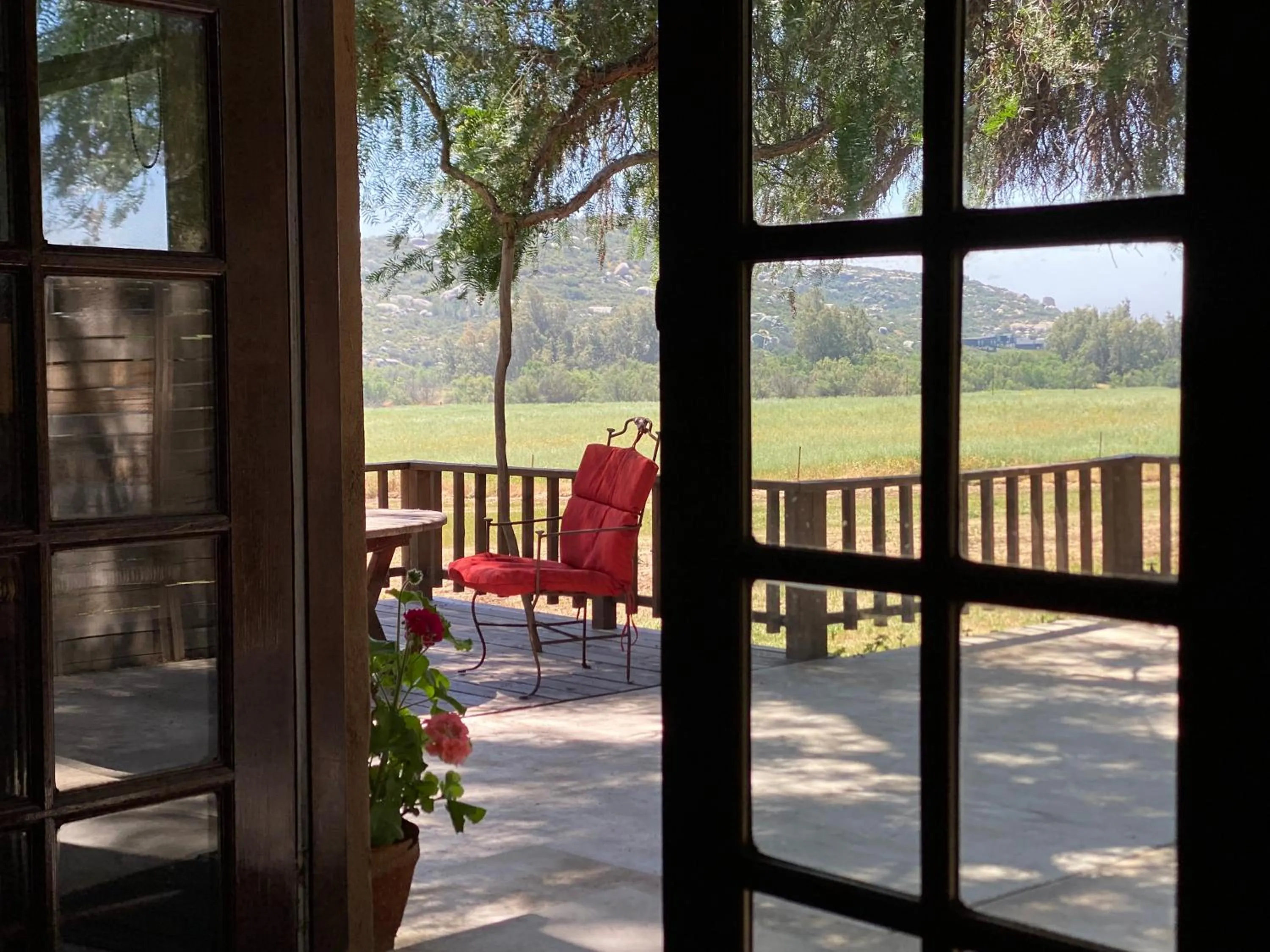 Patio in Rancho Toros Pintos