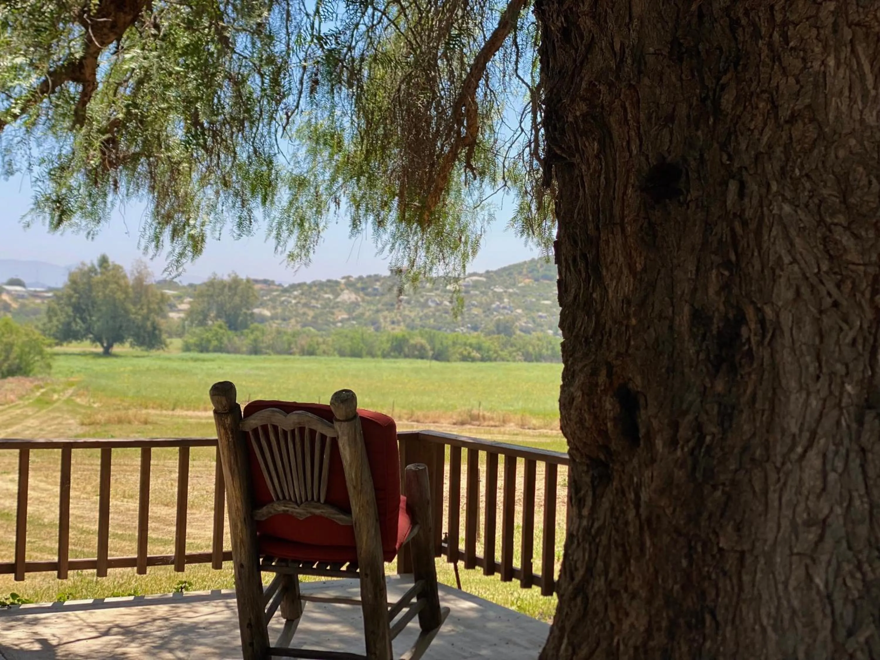 View (from property/room) in Rancho Toros Pintos