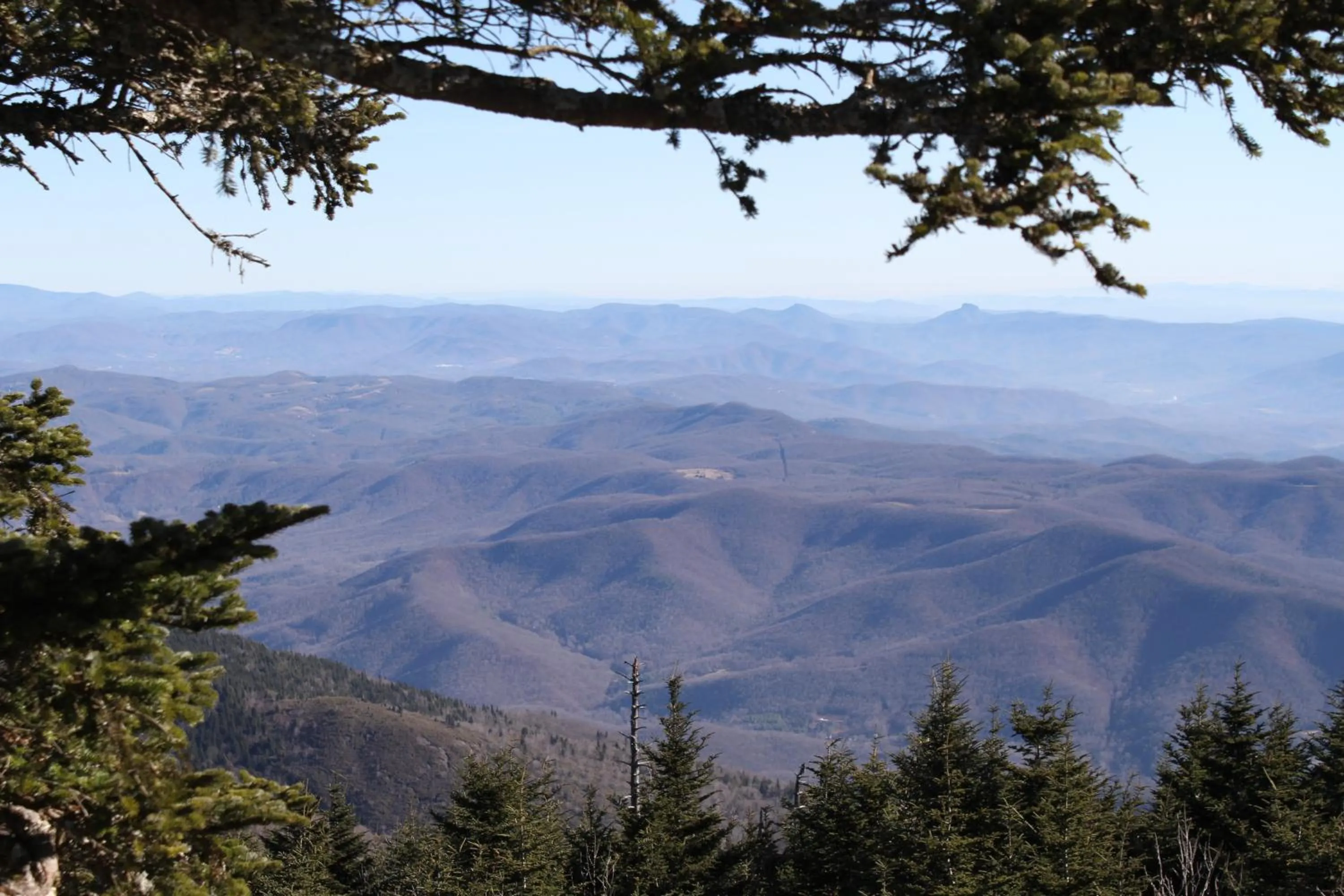 Nearby landmark in Mt Mitchell Cabin Rentals