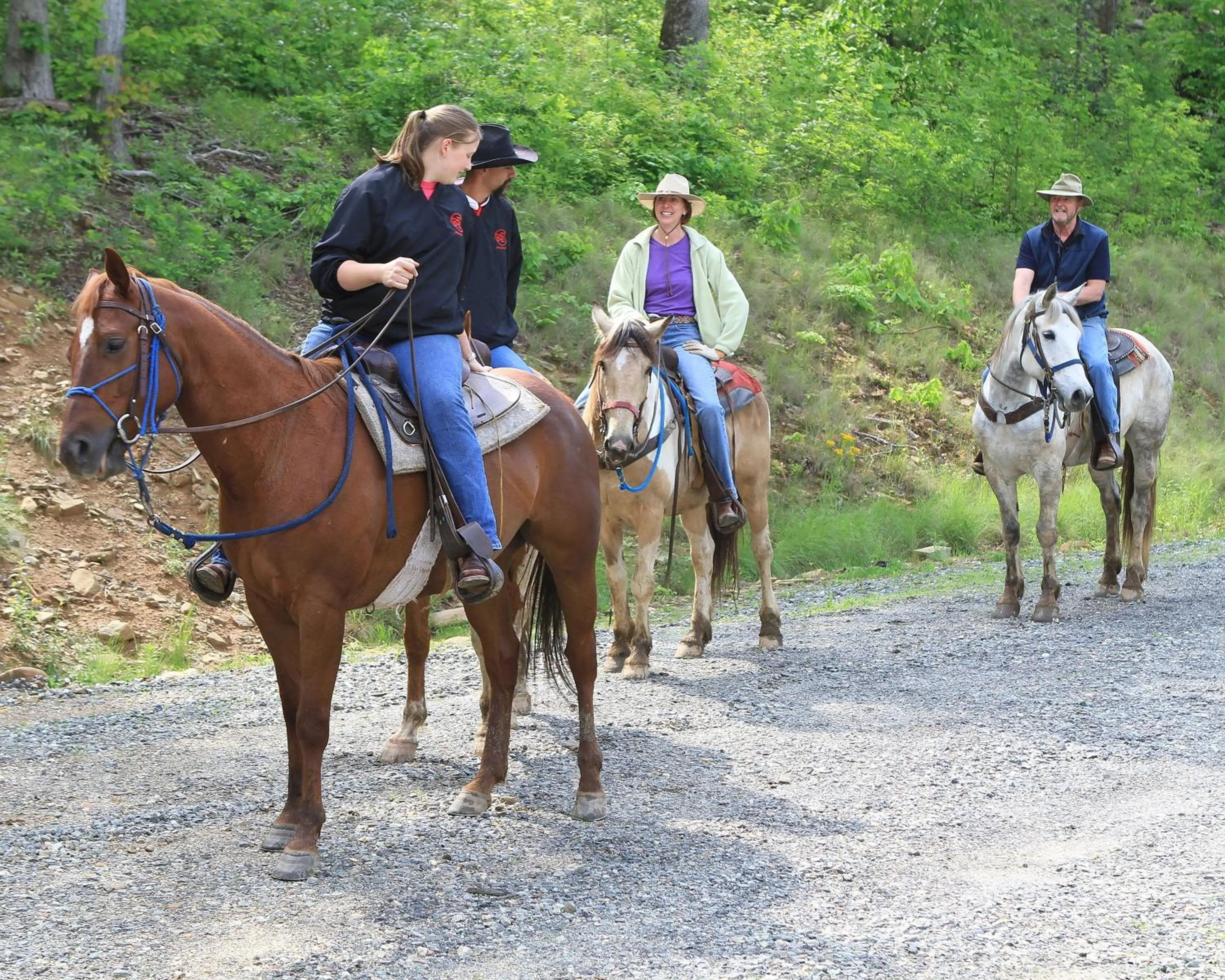 Horse-riding in Mt Mitchell Cabin Rentals