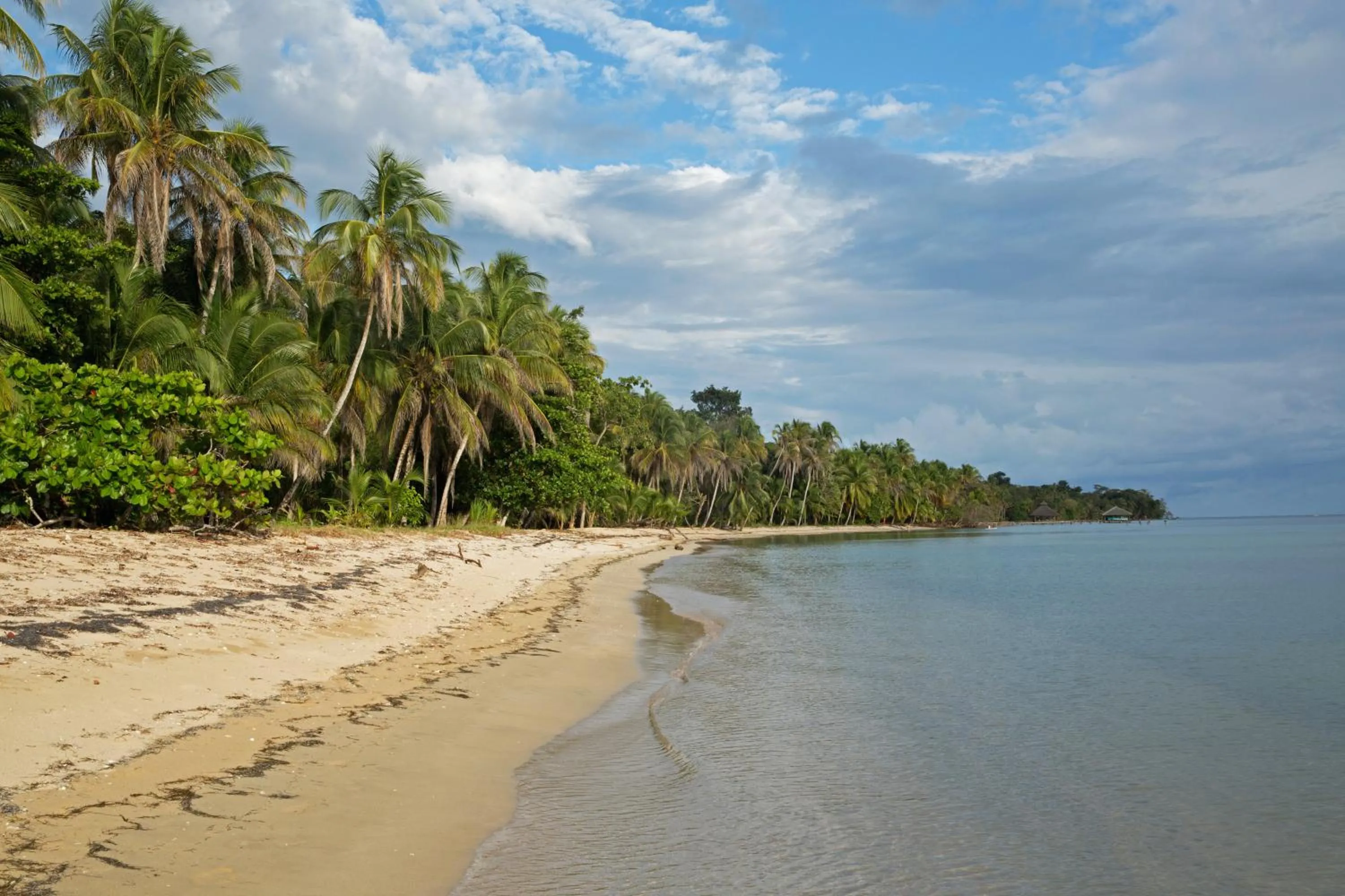 Beach in Residencia Natural