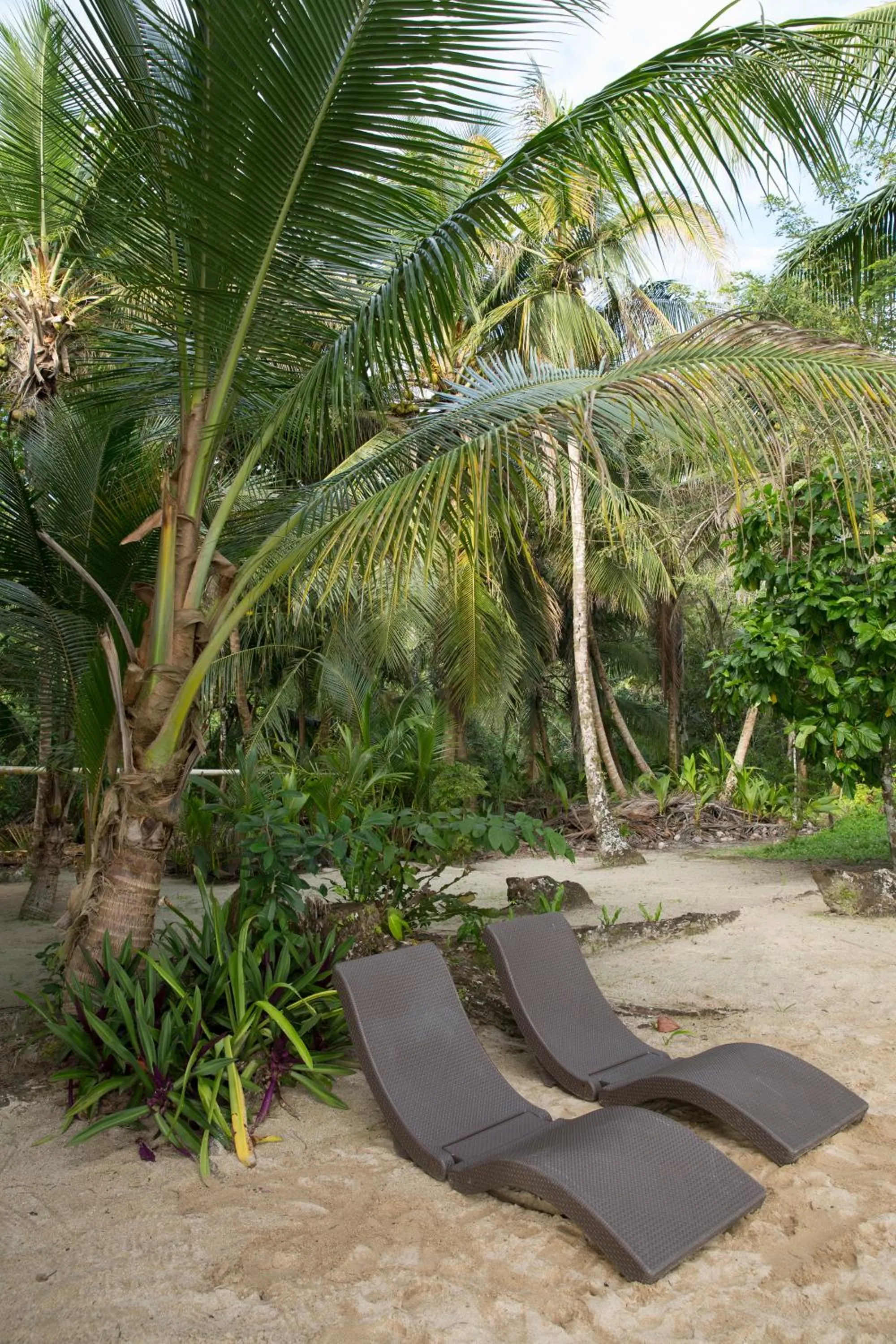 Beach in Residencia Natural