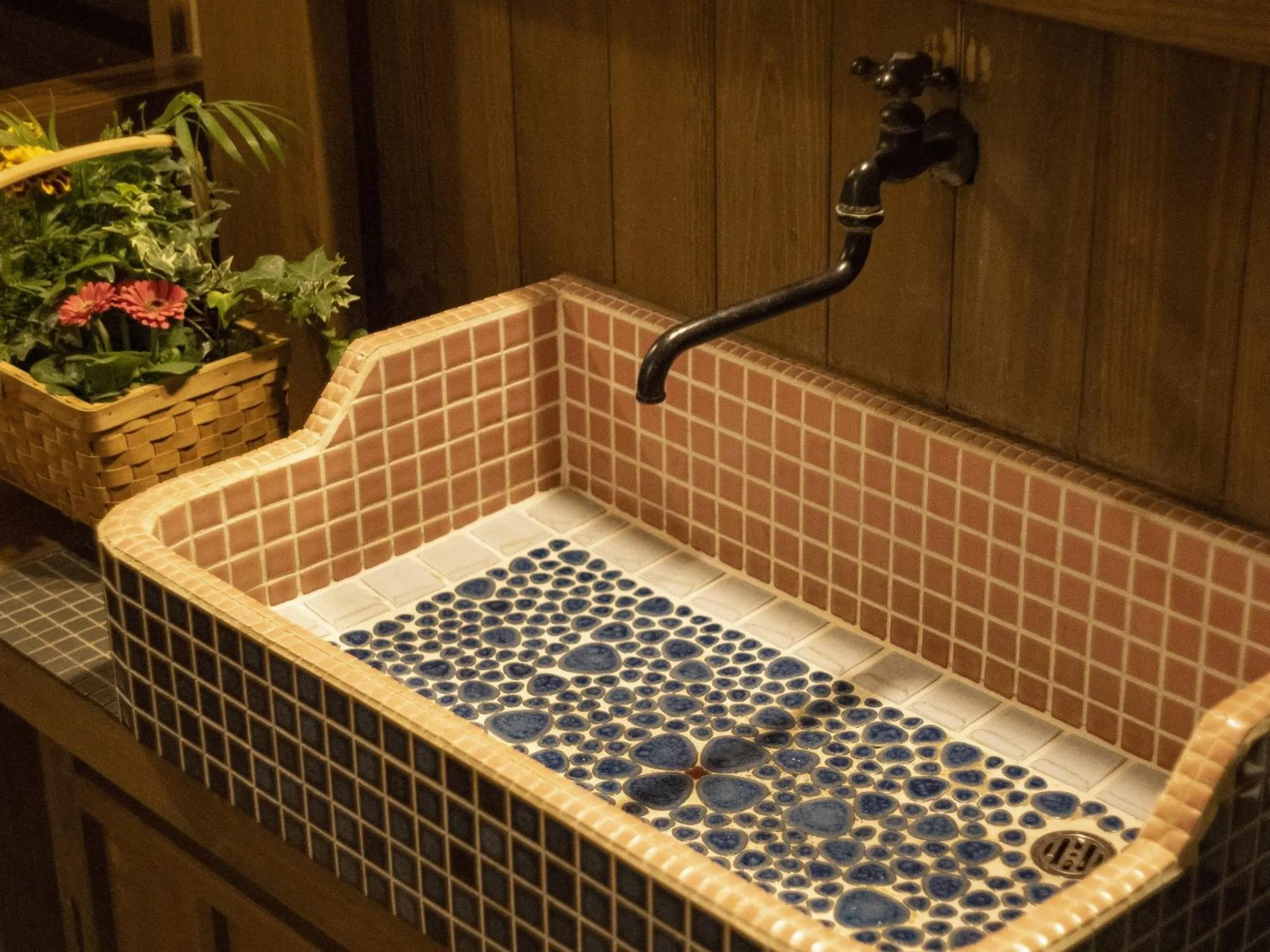 Area and facilities in Okyakuya