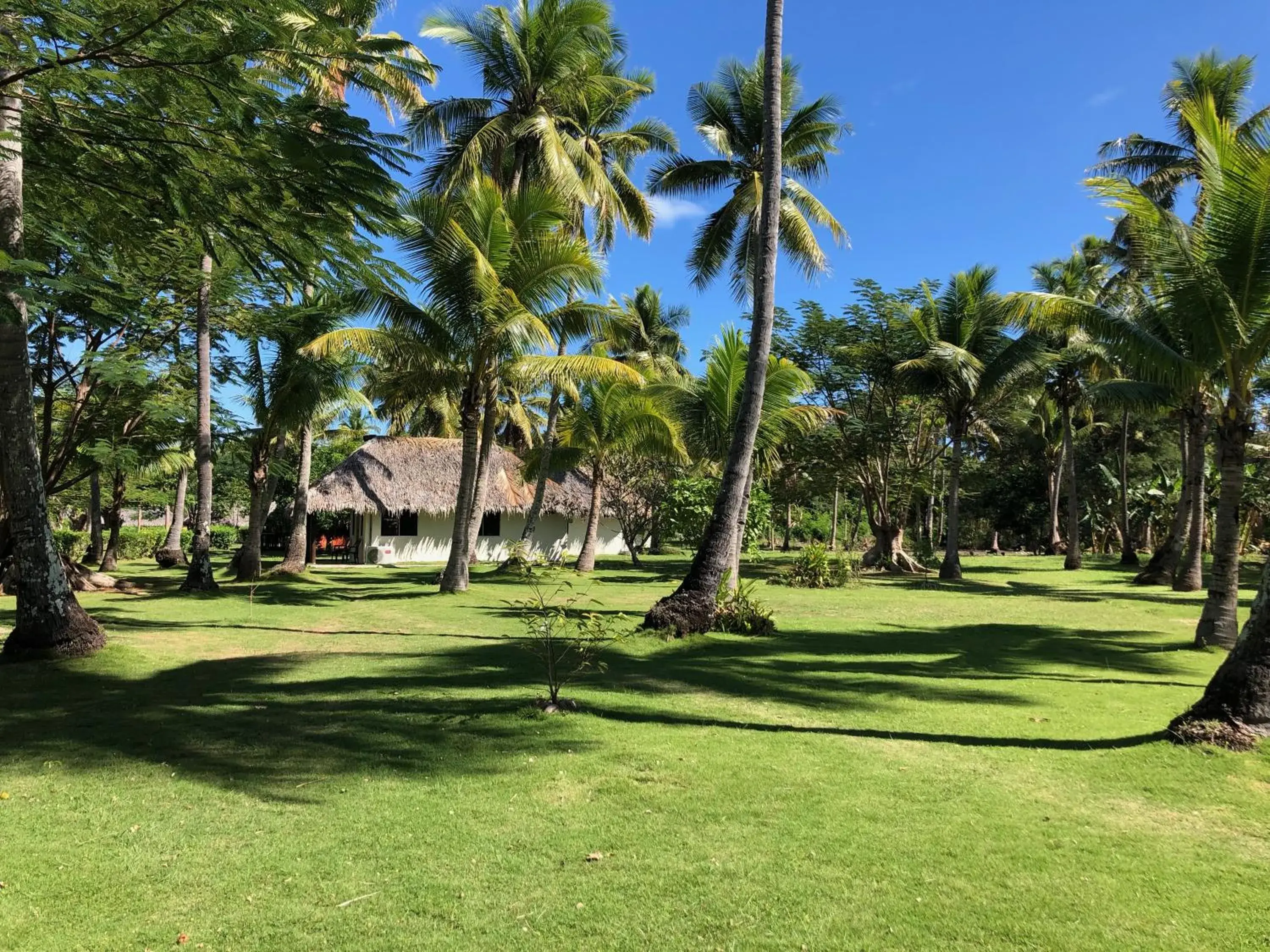 Garden in Belo Vula Island Resort Pte Limited Garden in Belo Vula Island Resort Pte Limited