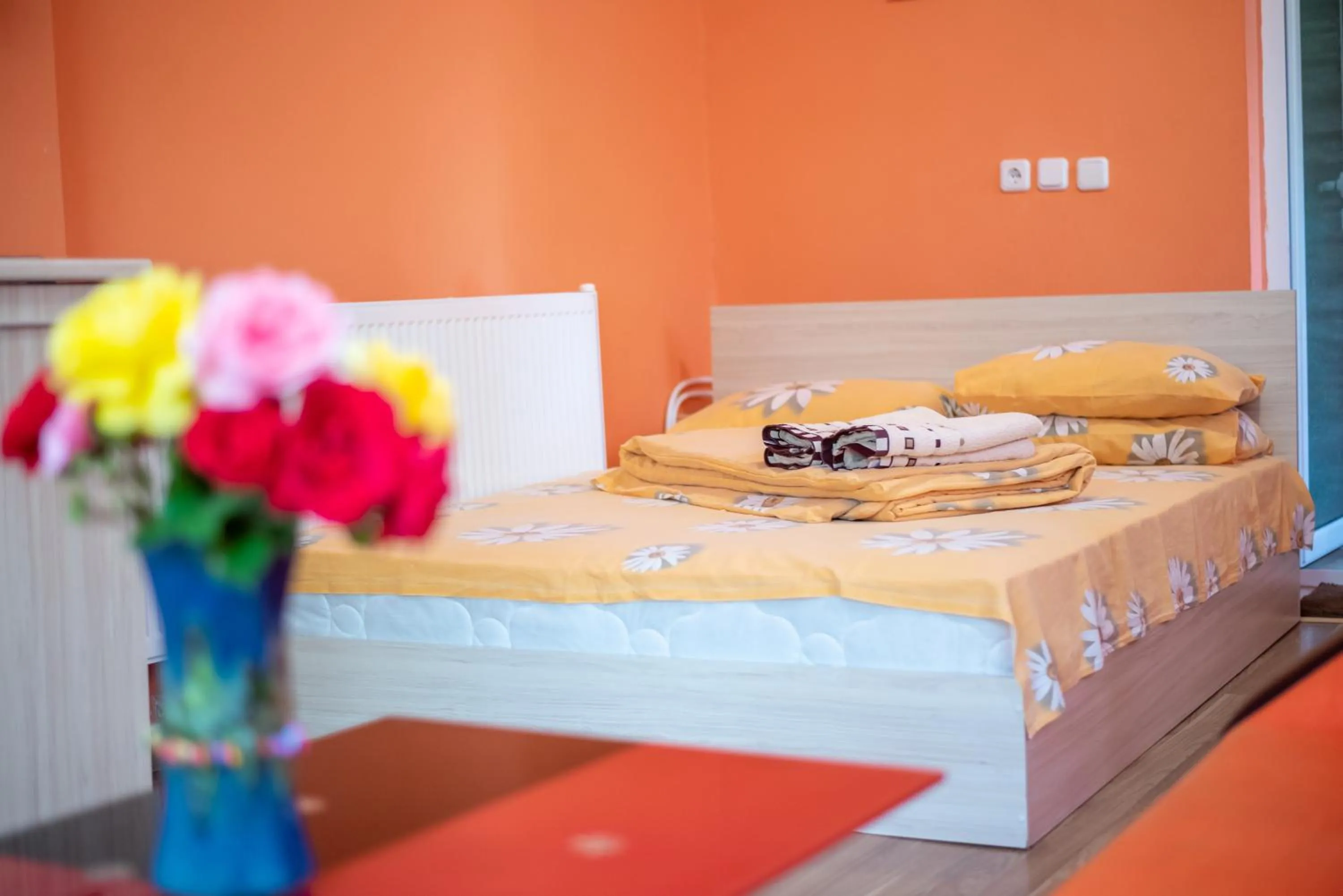 Bed in Danailovi Guest House