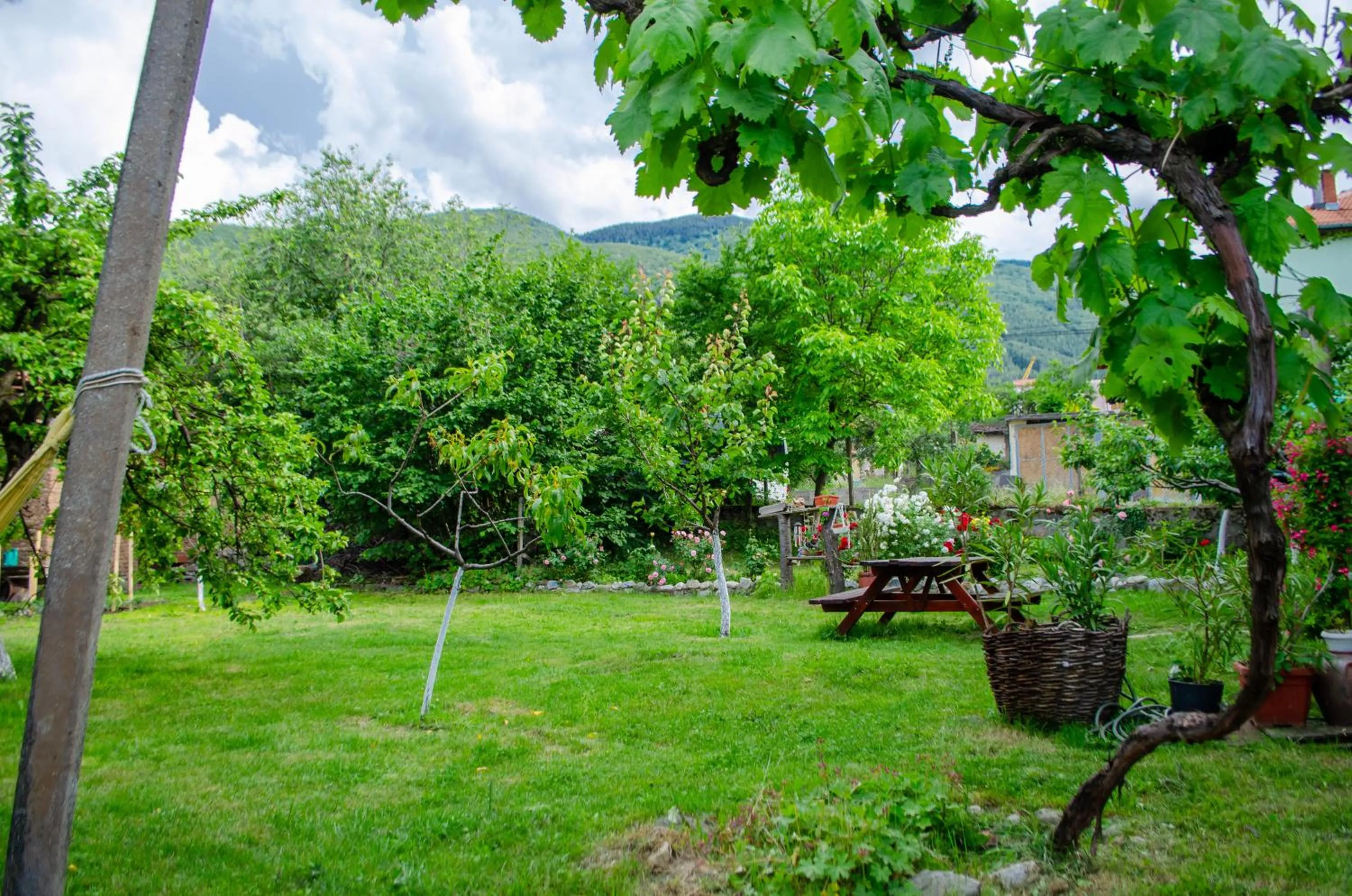 Danailovi Guest House
