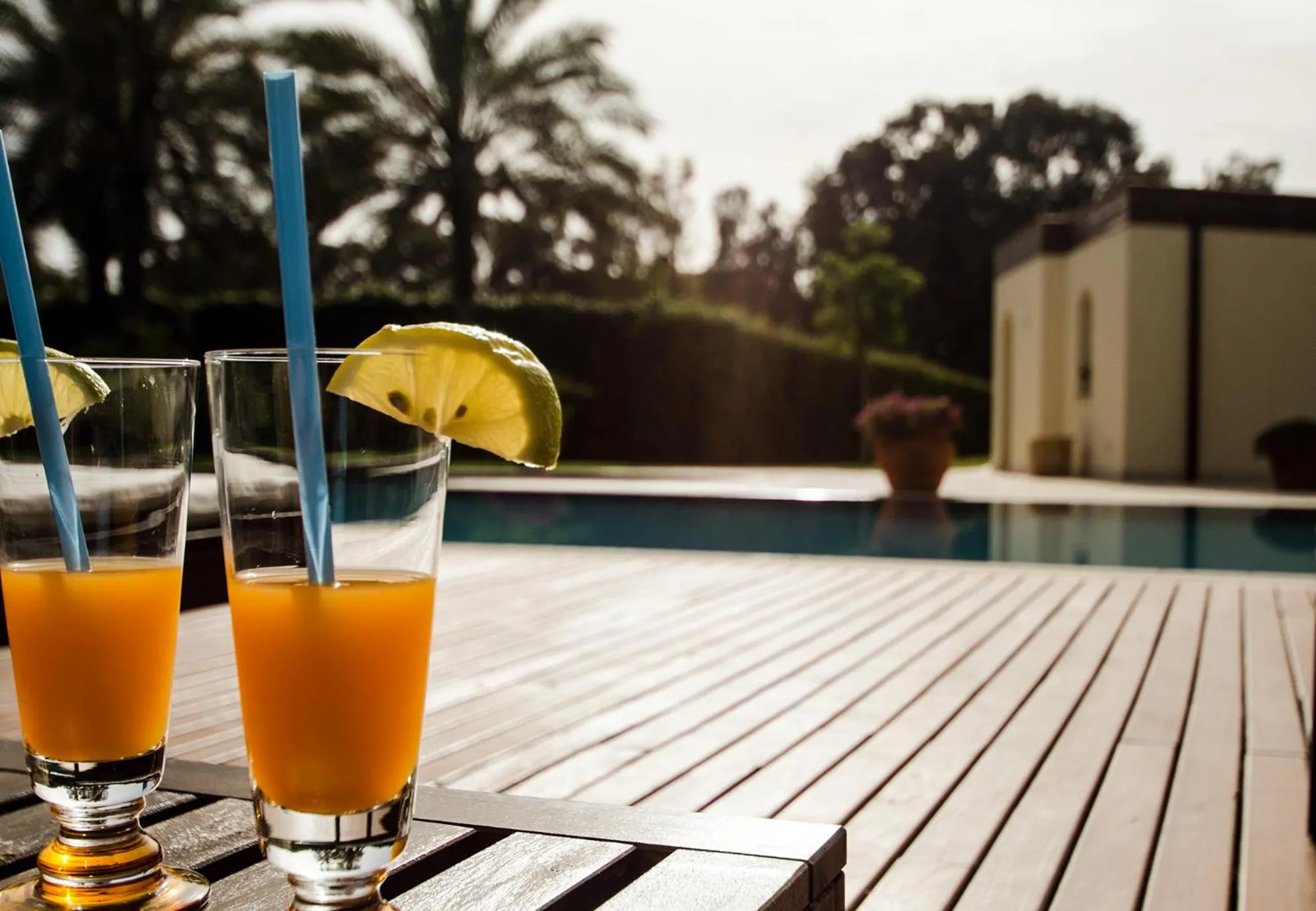 Balcony/Terrace in Archeo Hotel