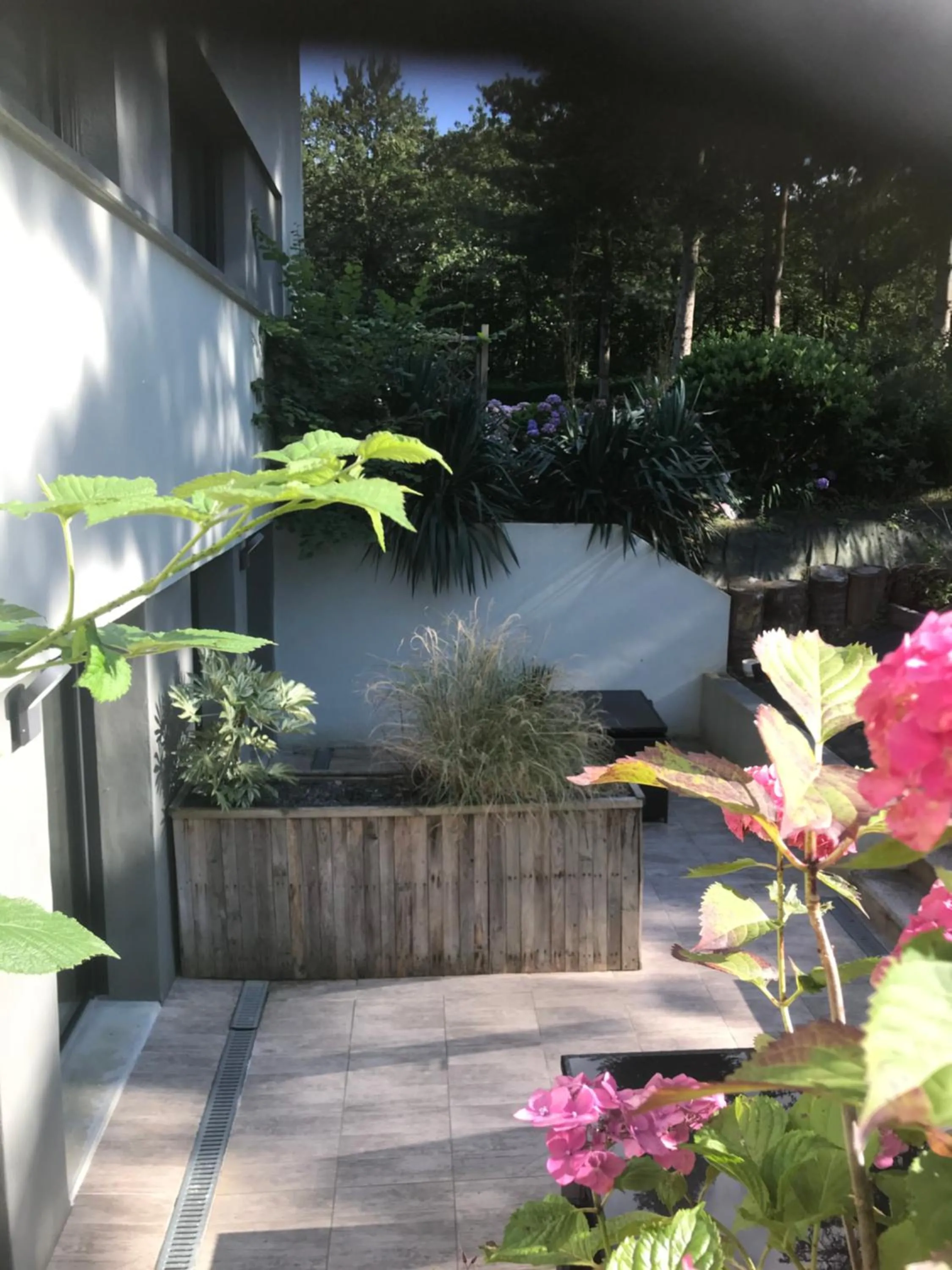 Patio in Le séquoia