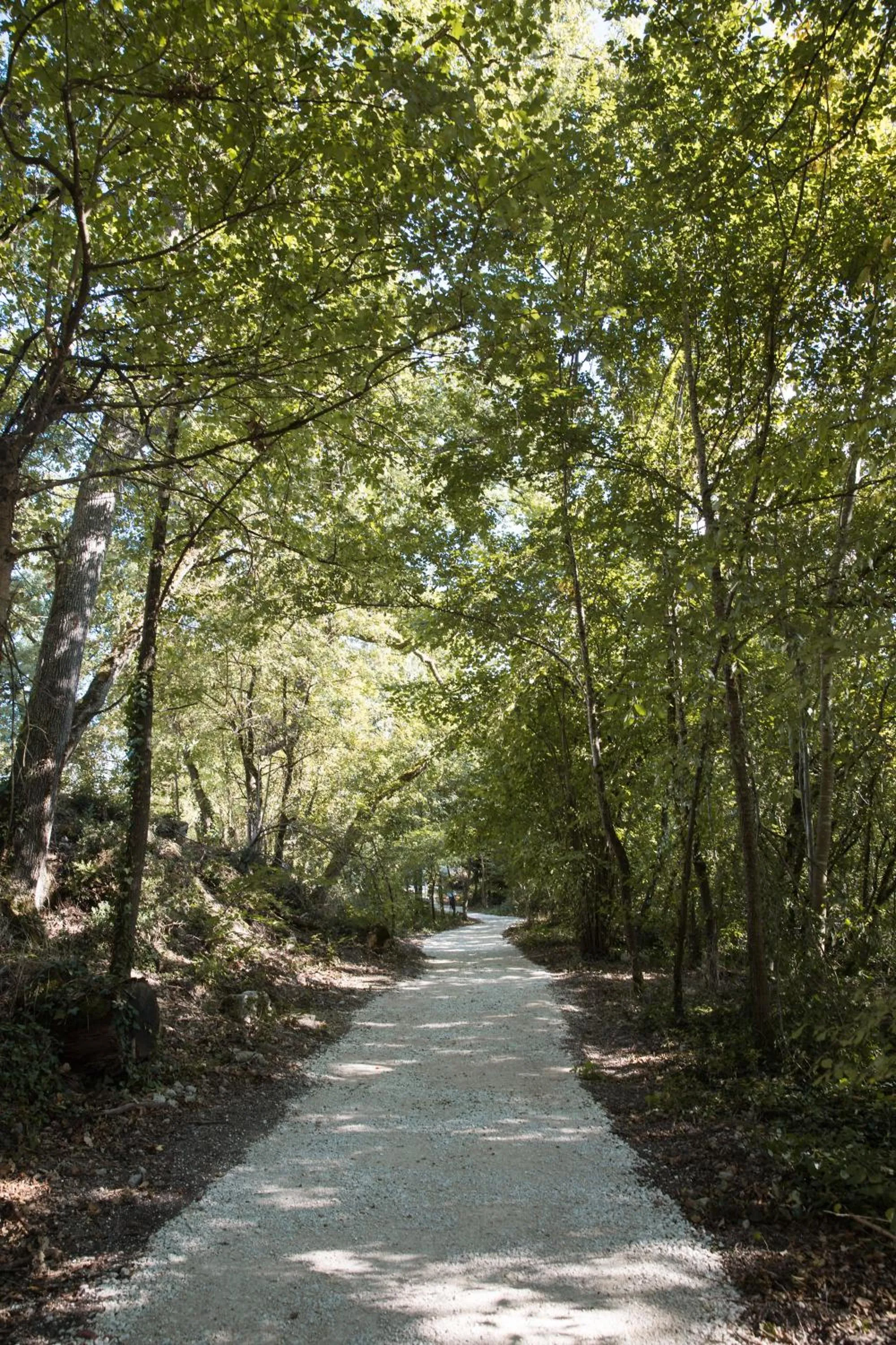 Garden in Chrysalide Saint Martin