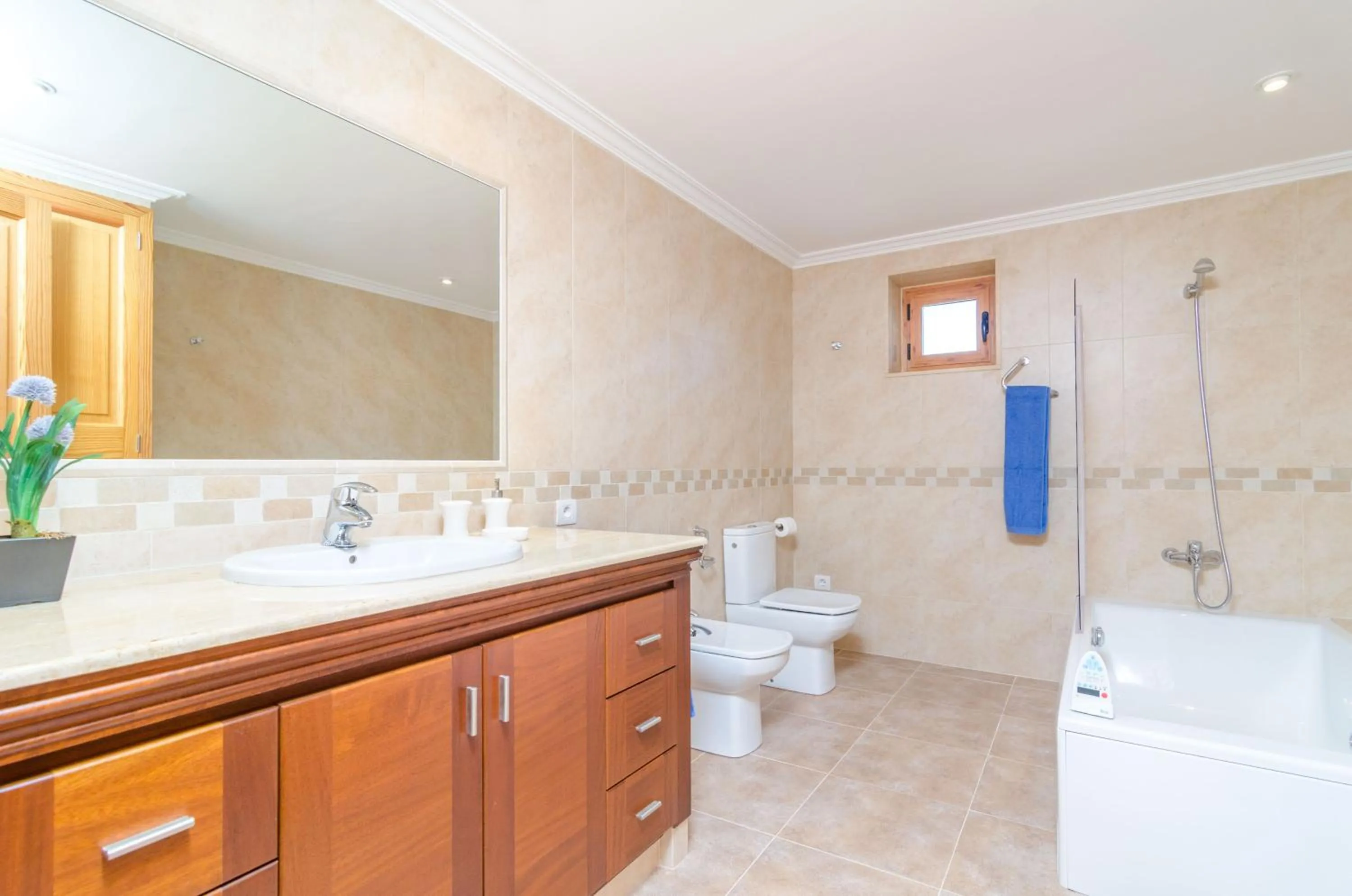 Bathroom in Son Fadri