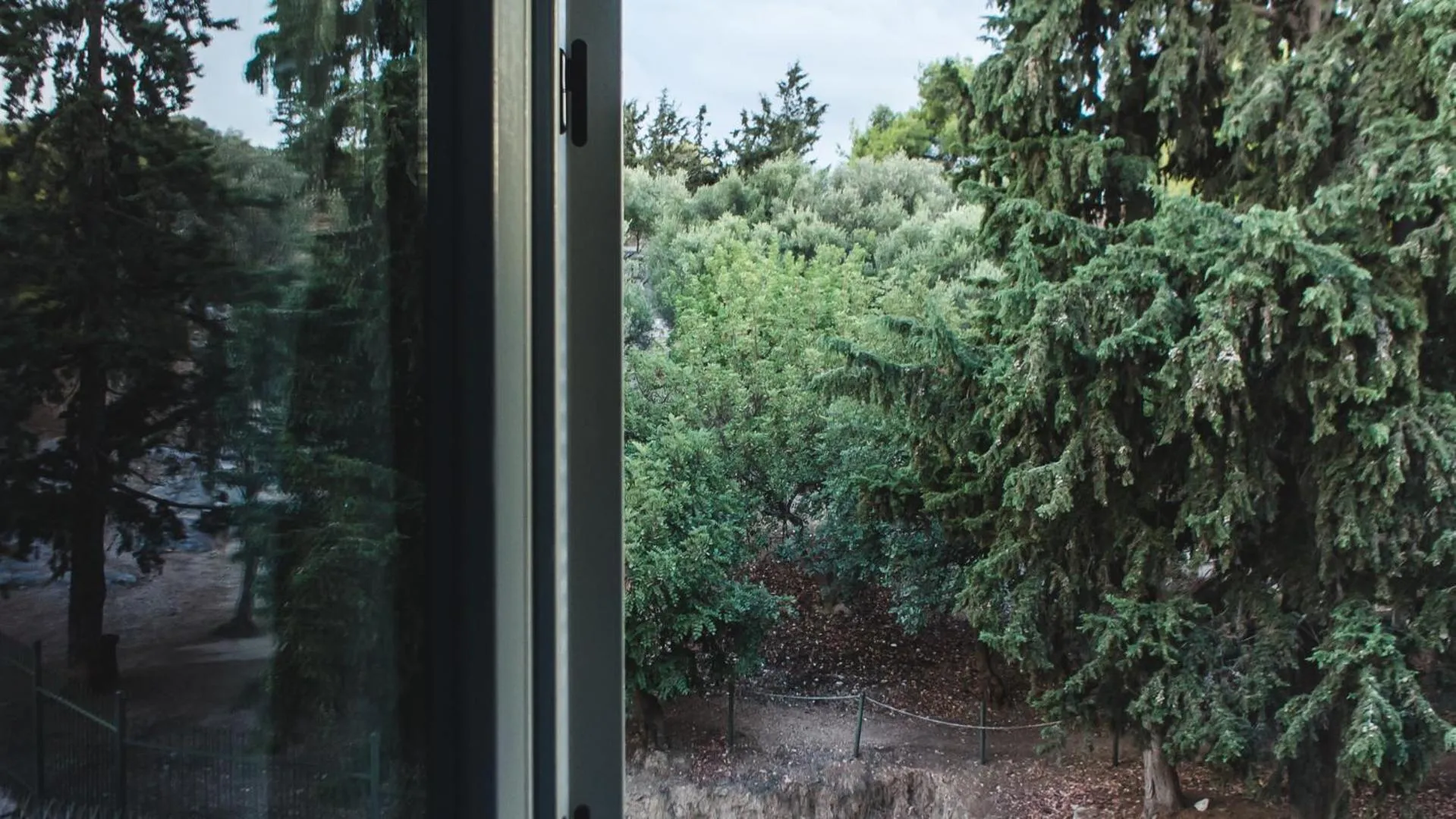 Garden view in Acropolis Luxury Apartments