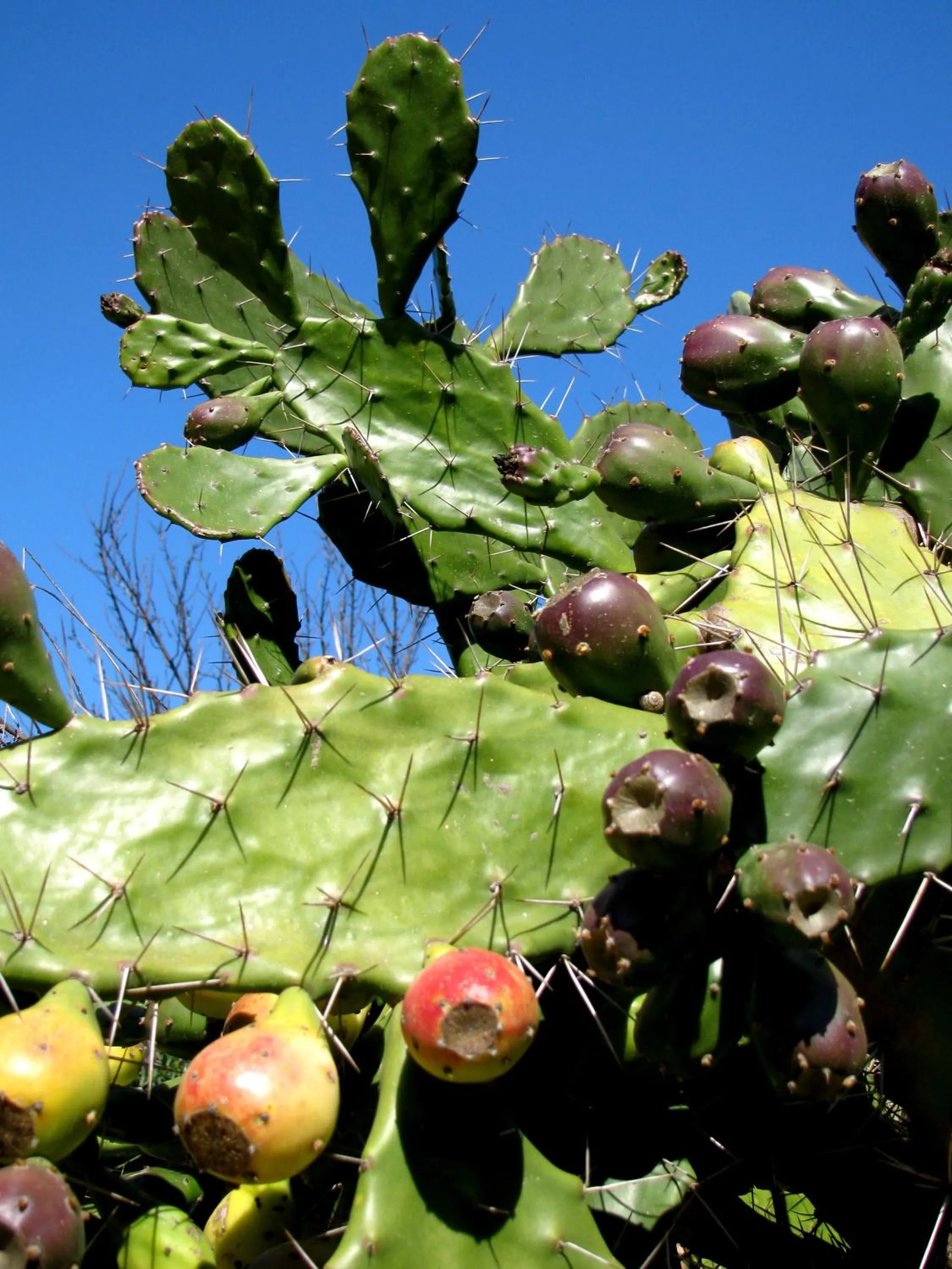 Other in Pozzo al Moro Village