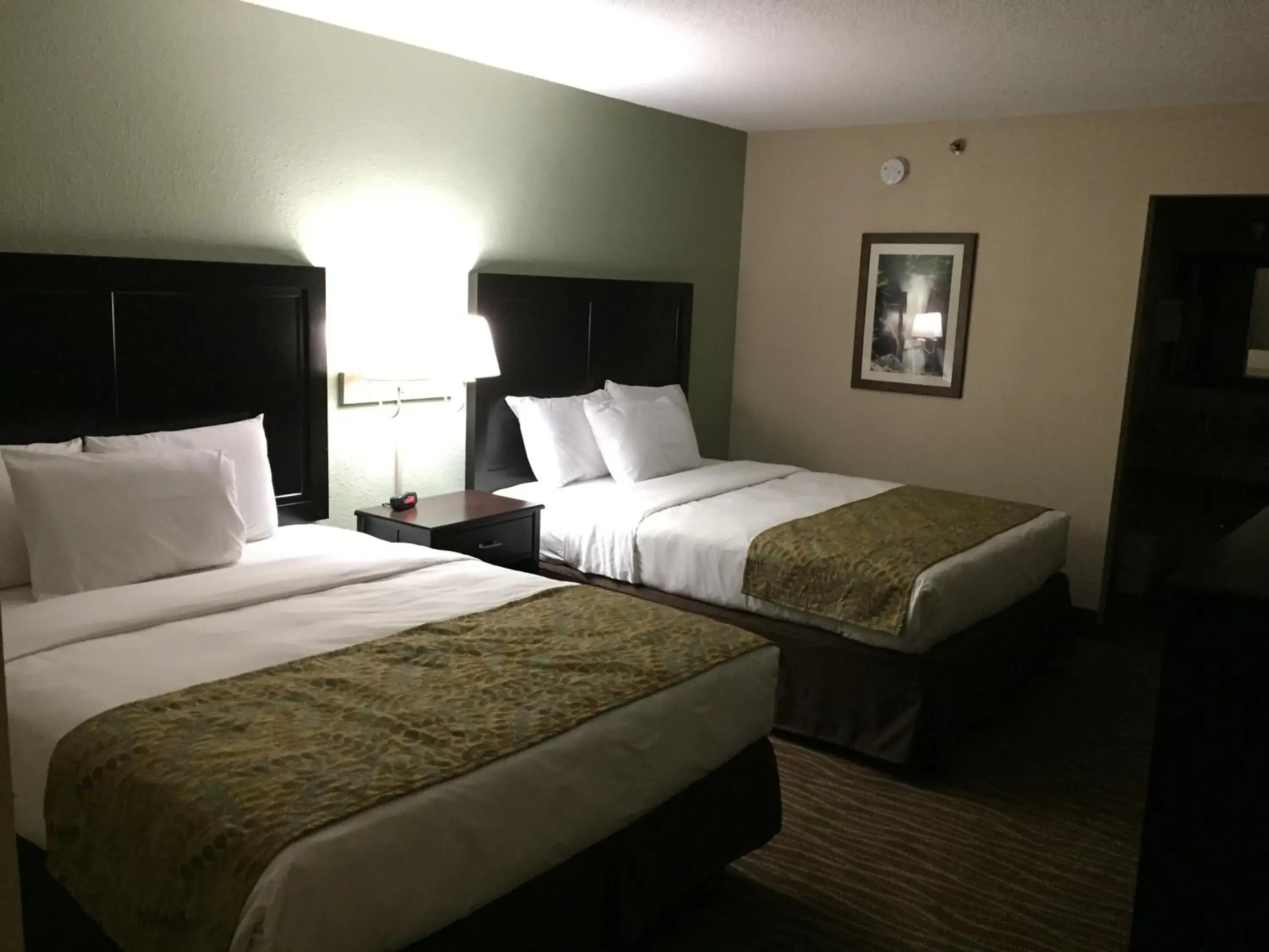 Photo of the whole room, Room Photo in Cascades Mountain Resort, Ascend Hotel Collection