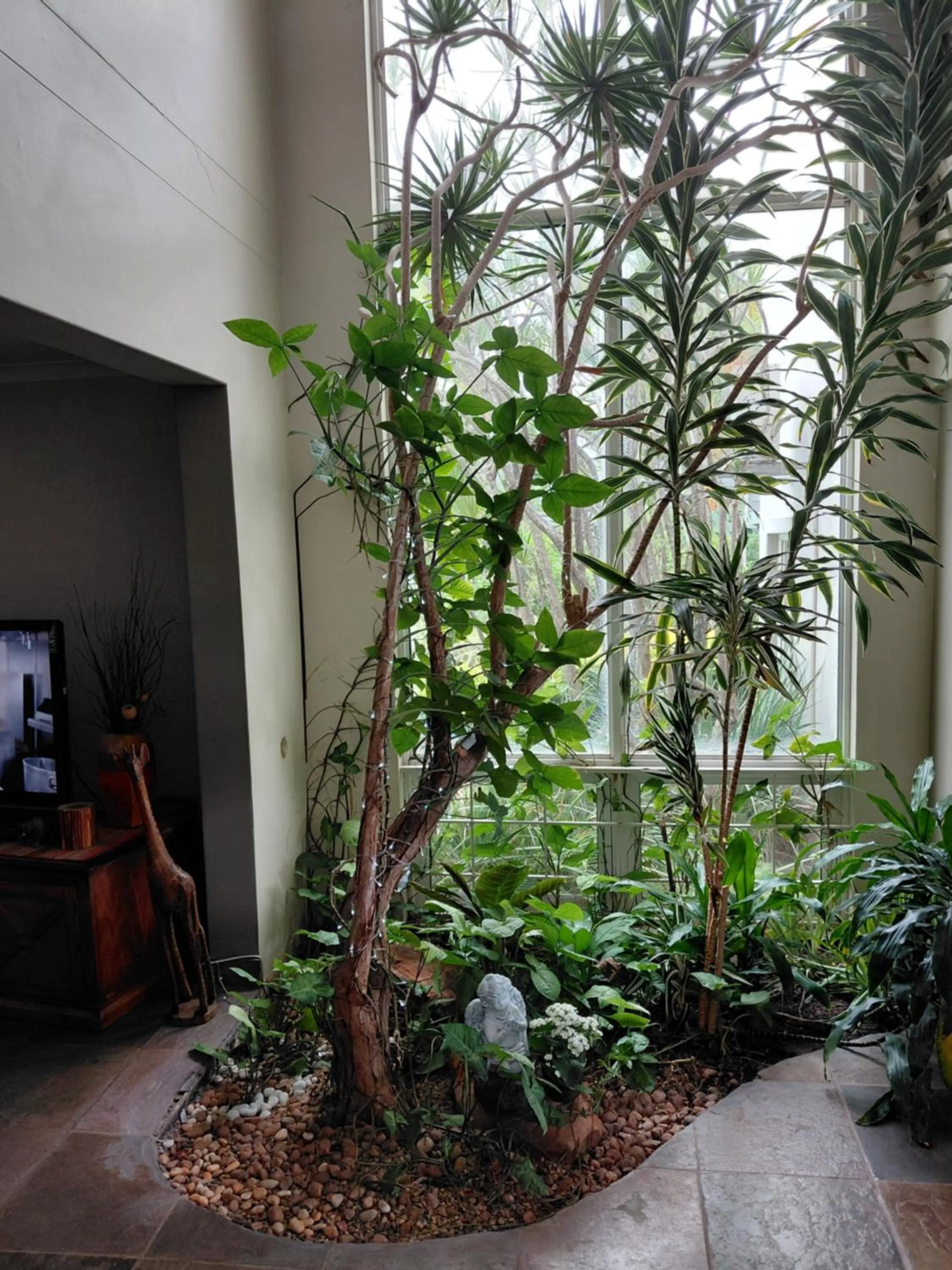 Garden view in Bella Vista Guest House Umhlanga La Lucia