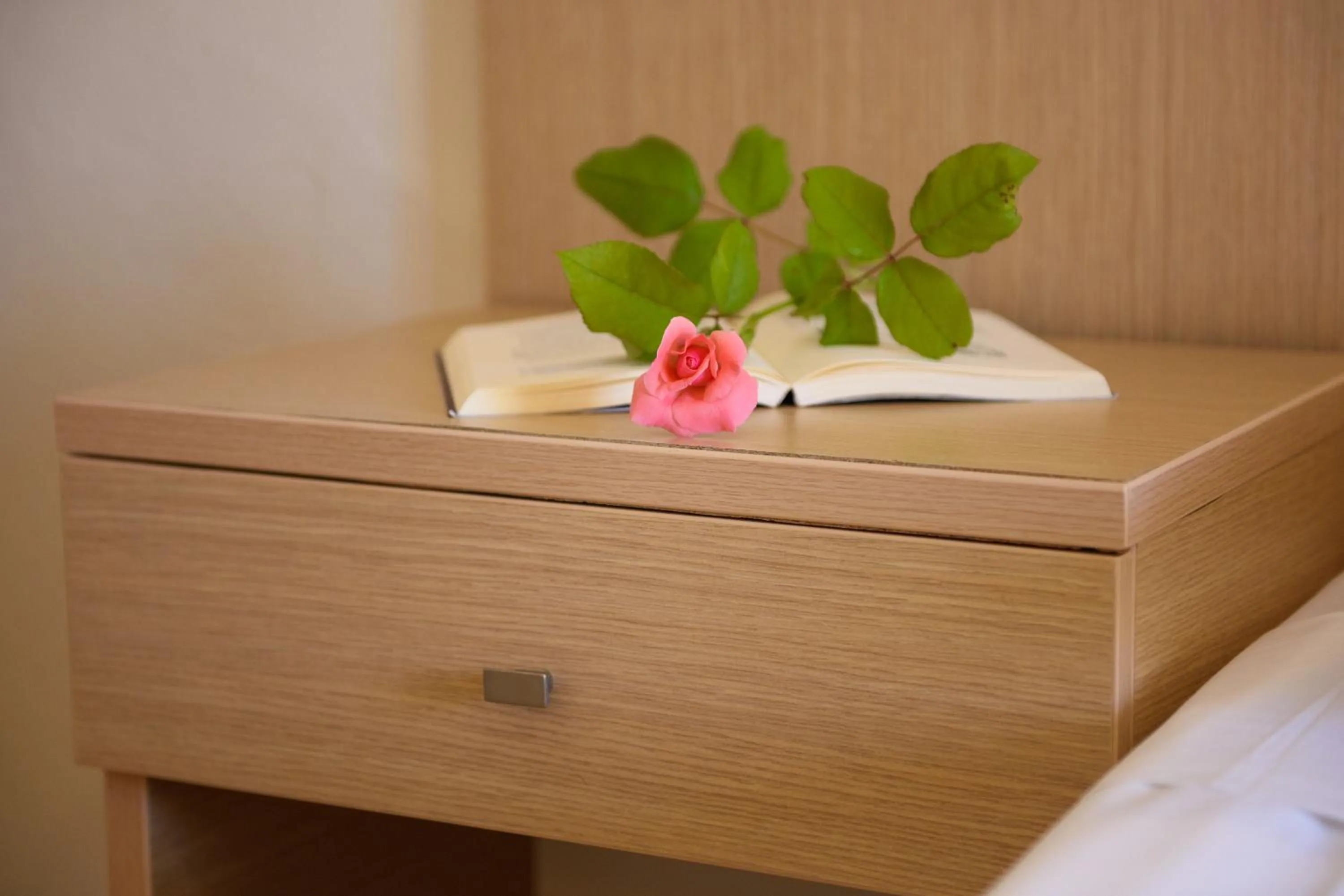 Other in Olympion Village