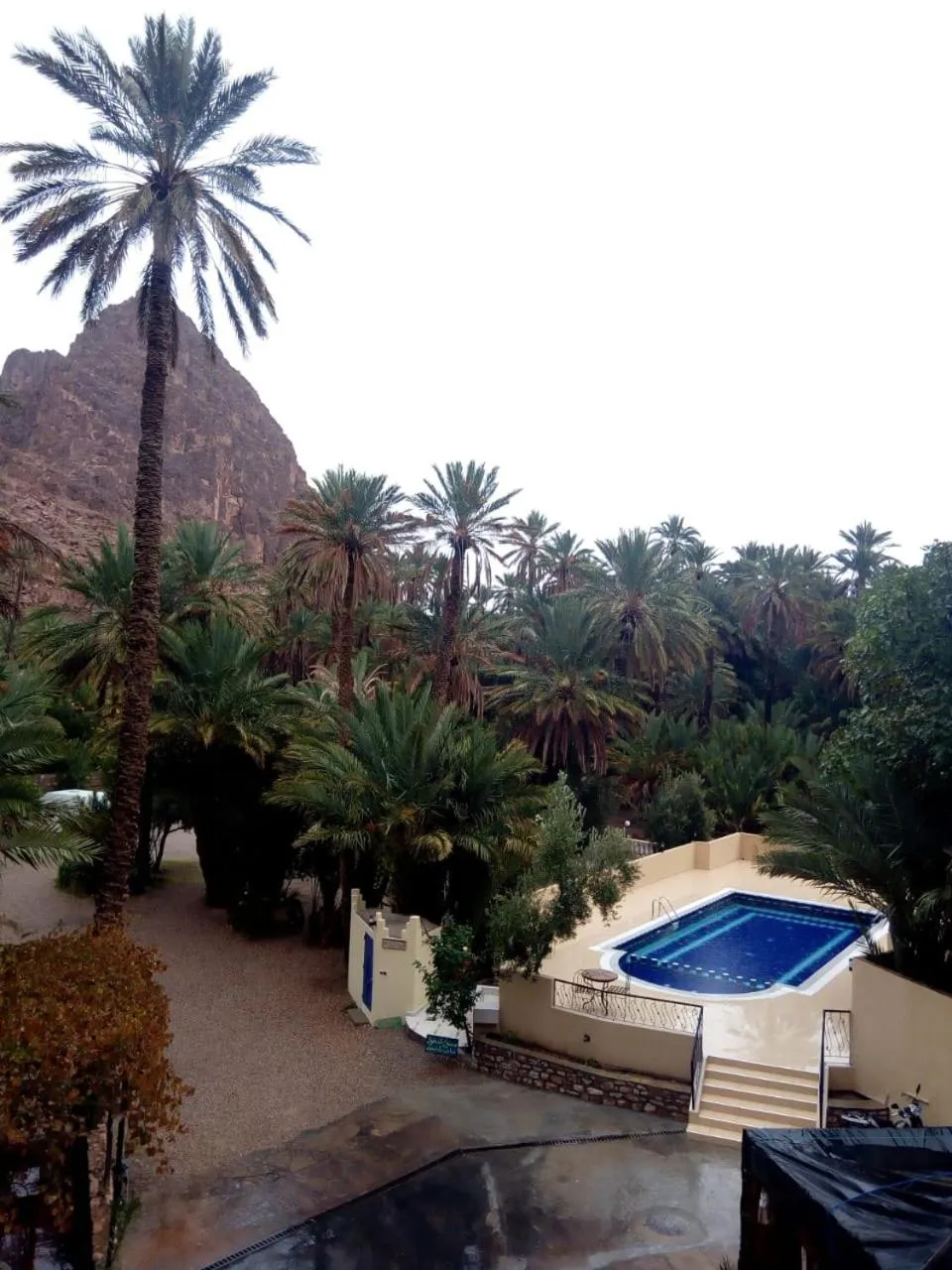 Pool view in RIAD Camping ATLAS