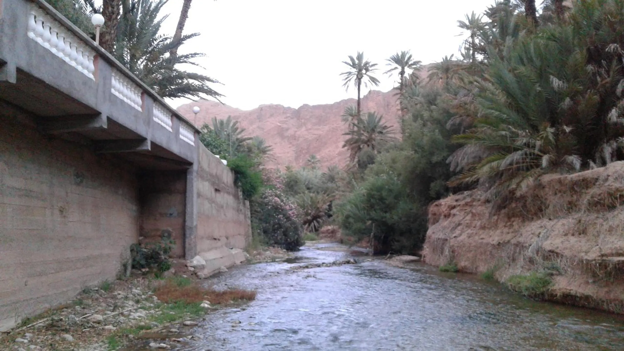 Area and facilities in RIAD Camping ATLAS