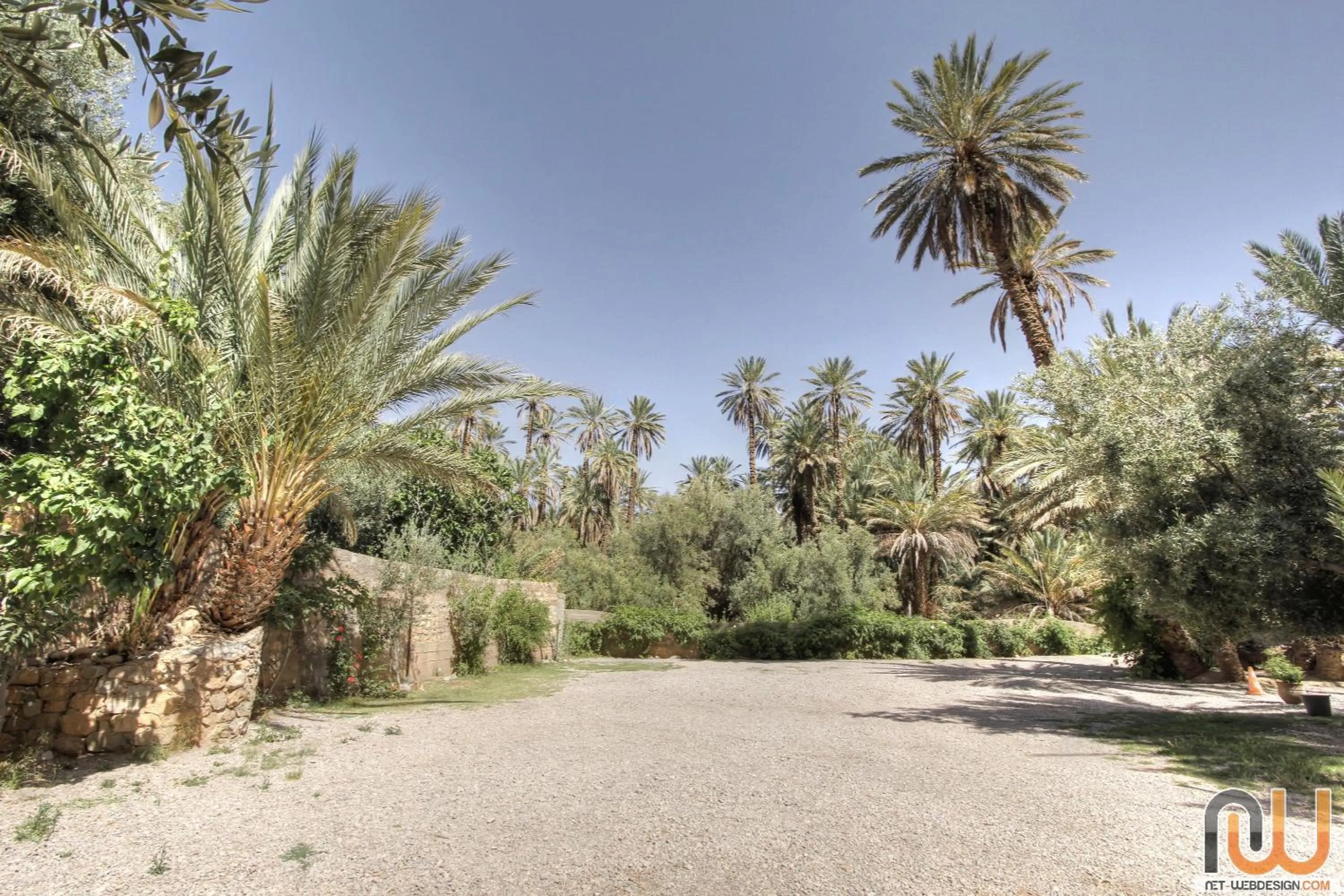 Garden in RIAD Camping ATLAS