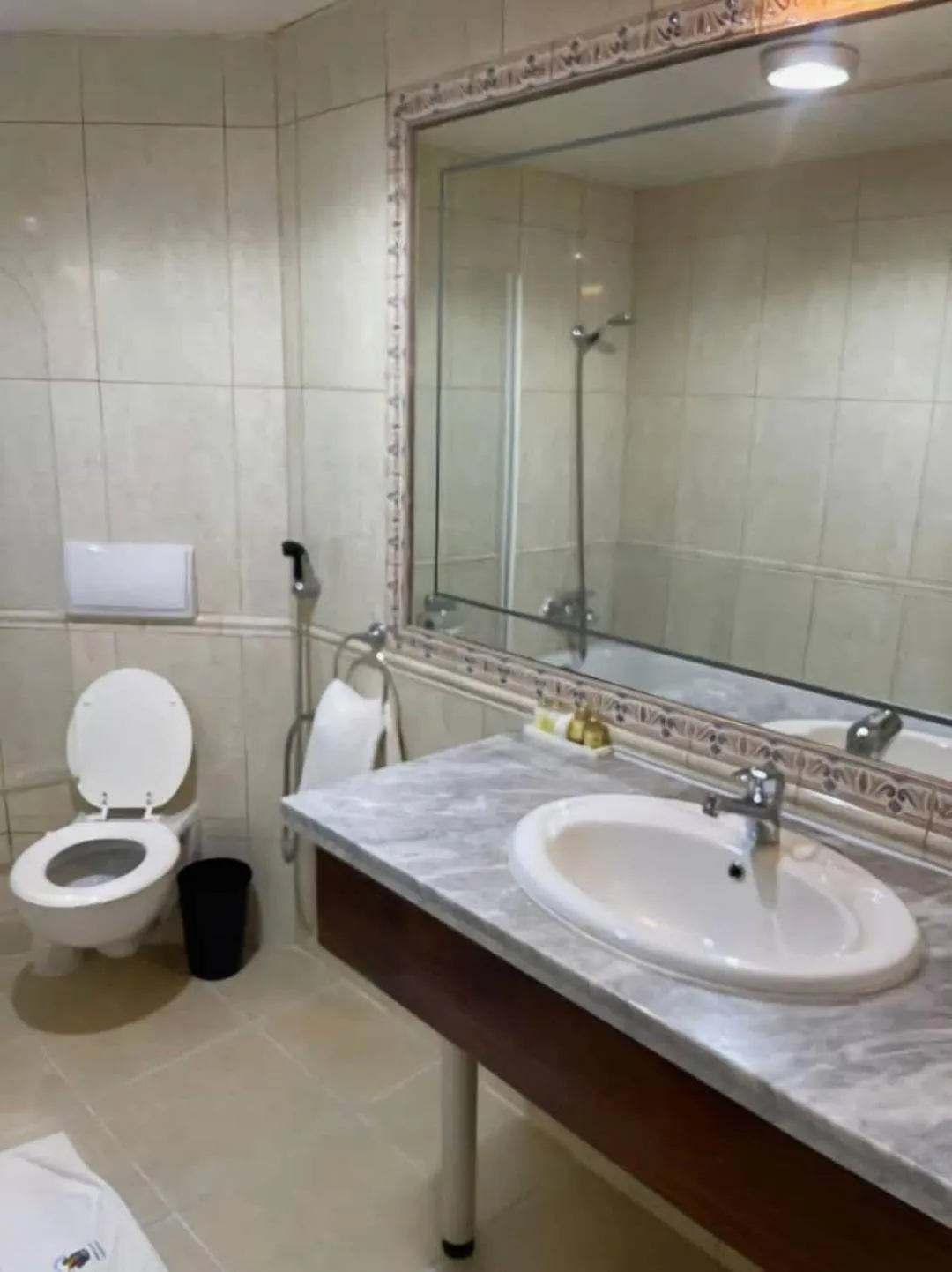 Bathroom in Hotel Barmoi