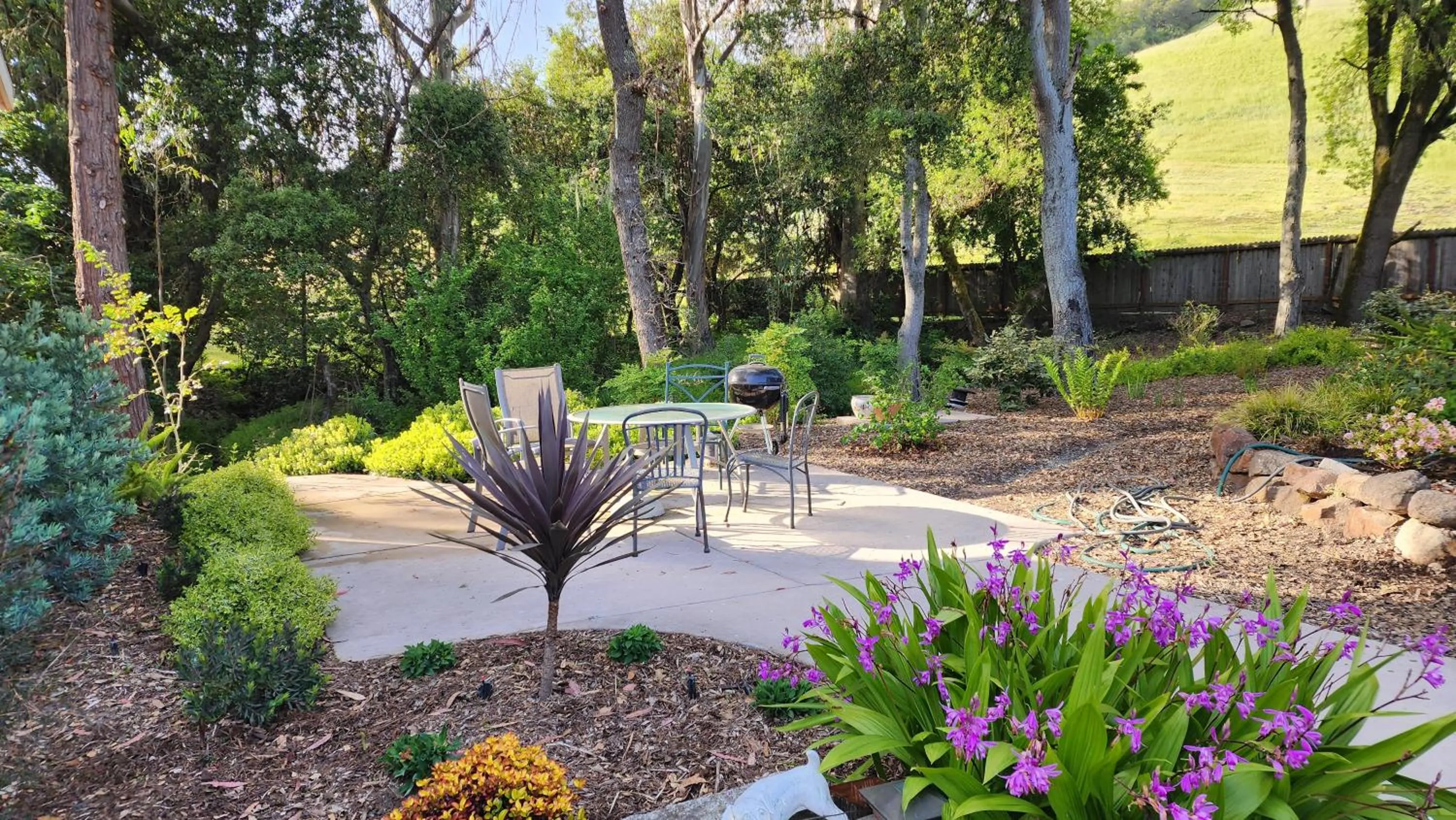 Garden view in Amitabha Wine Country Cottage