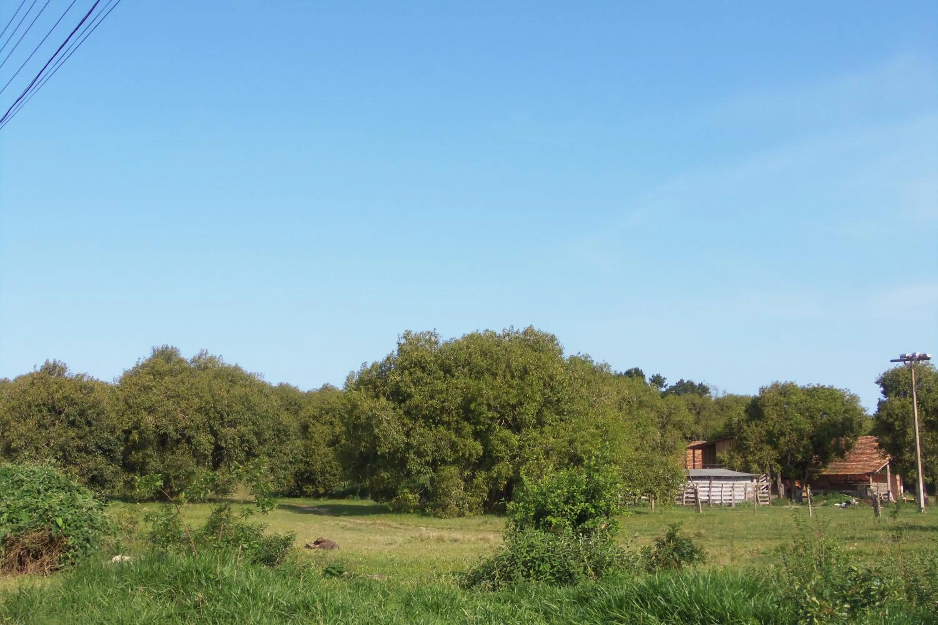 Street view in Recanto Dos Vargas - Seu refúgio em Floripa com atendimento dos anfitriões