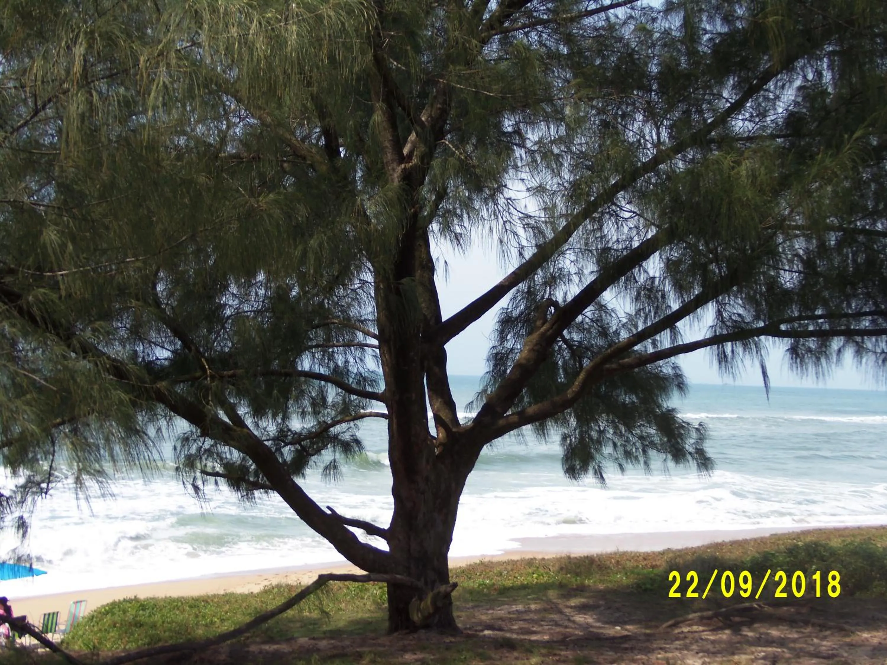 Nearby landmark in Recanto Dos Vargas - Seu refúgio em Floripa com atendimento dos anfitriões