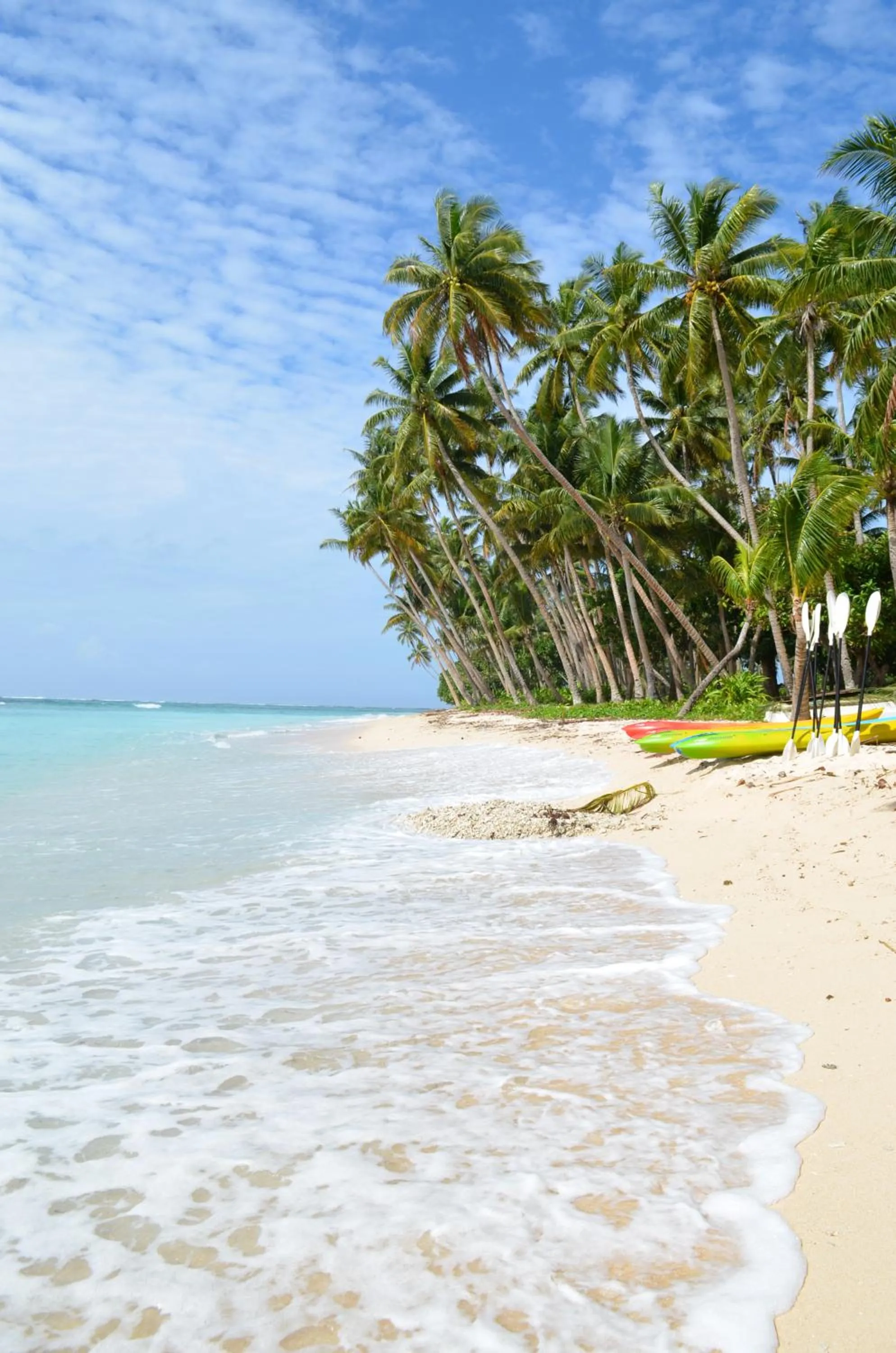 Natural landscape in Vacala Bay Resort