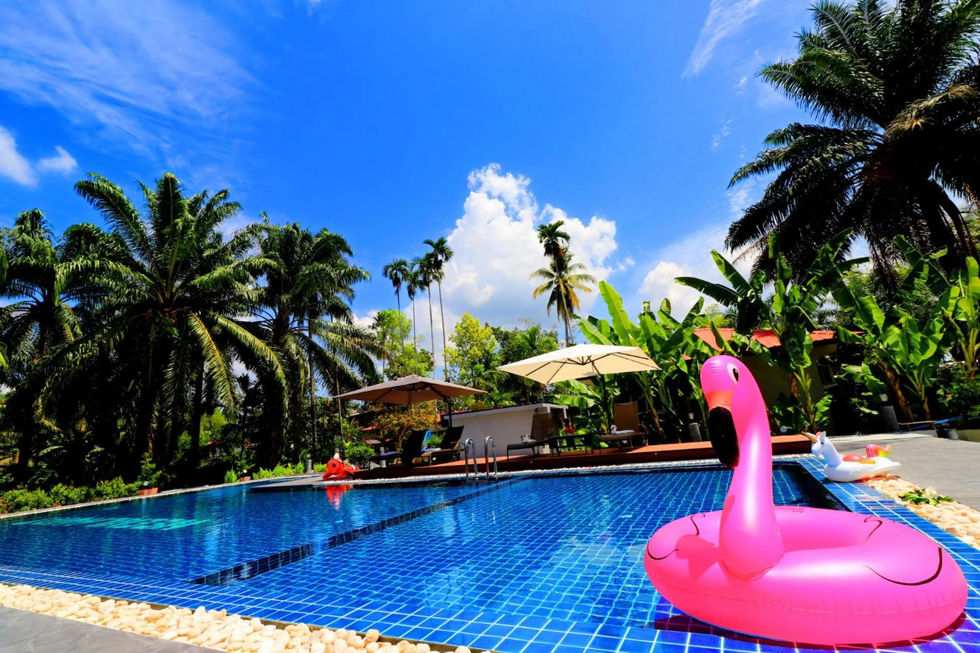 Swimming pool in Neenlawat Riverside