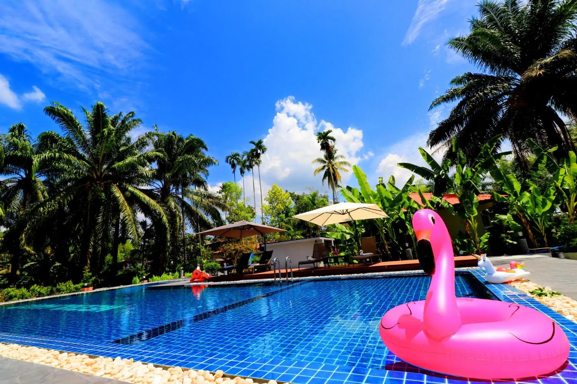 Swimming pool in Neenlawat Riverside Swimming pool in Neenlawat Riverside
