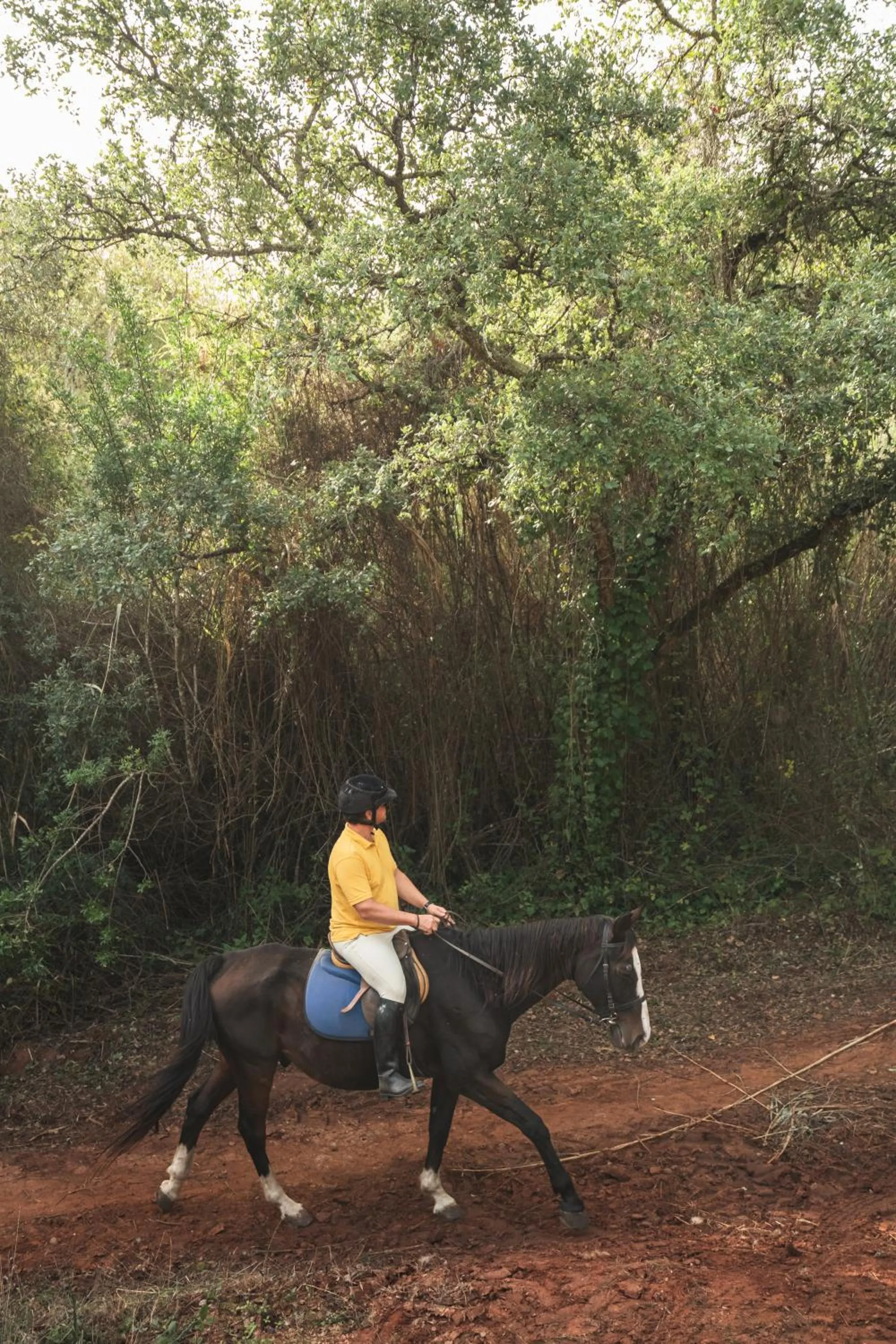 Horse-riding in Hotel Casa Palmela - Small Luxury Hotels of The World, Hotel & Villas