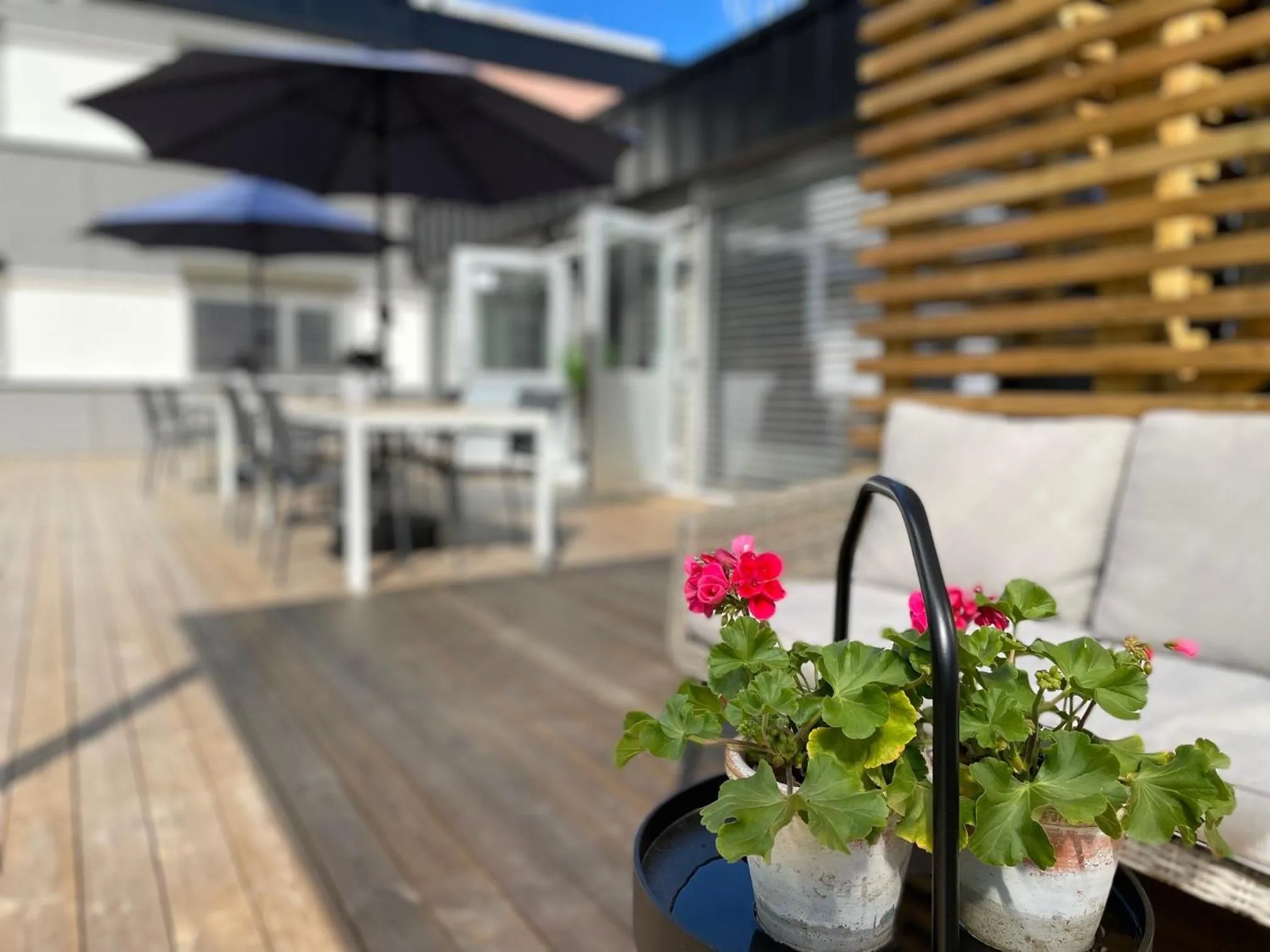 Patio in Emma Gjestehus