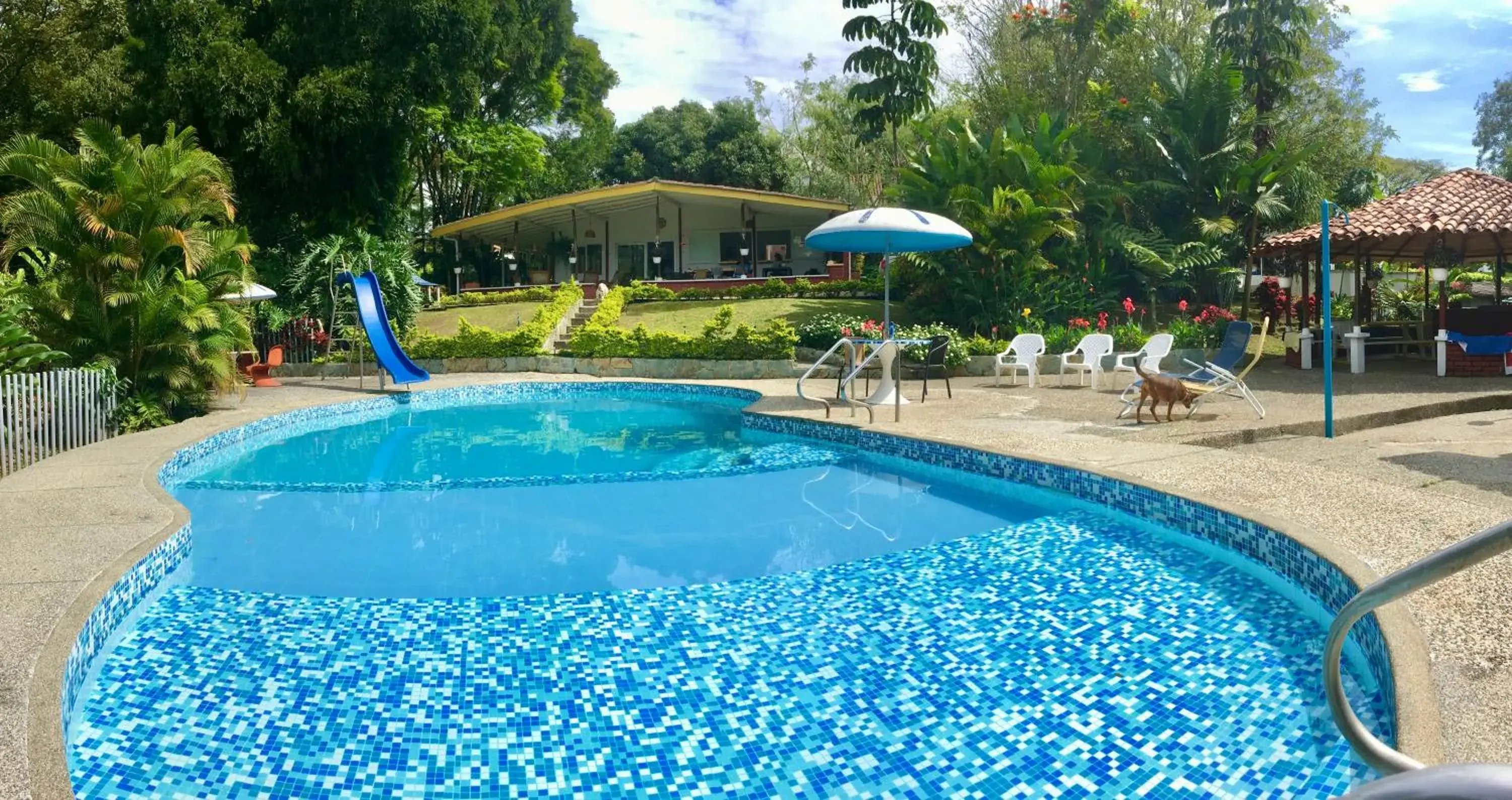 El Jardín de los Colibríes - Pereira, Risaralda El Jardín de los Colibríes - Pereira, Risaralda