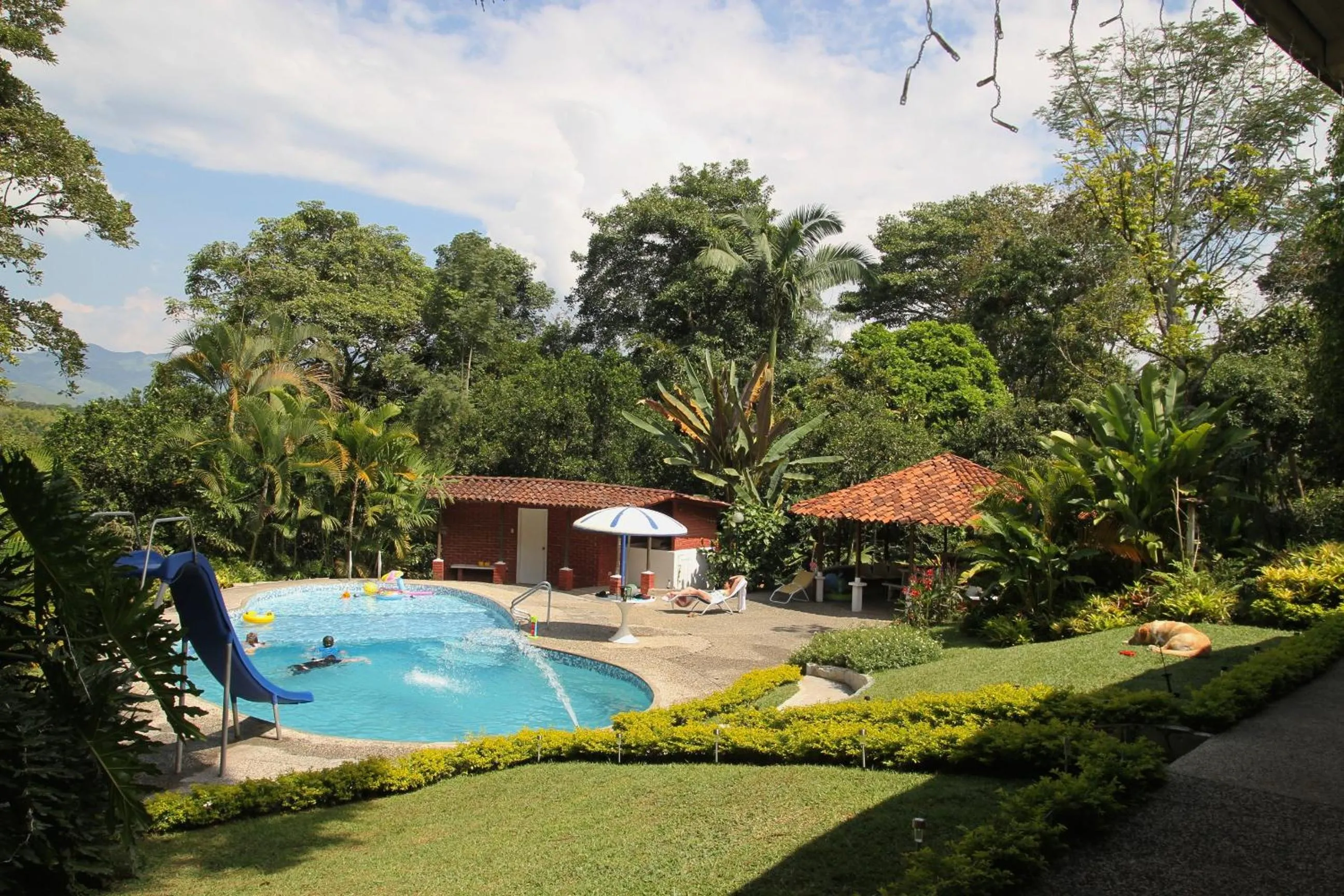 El Jardín de los Colibríes - Pereira, Risaralda