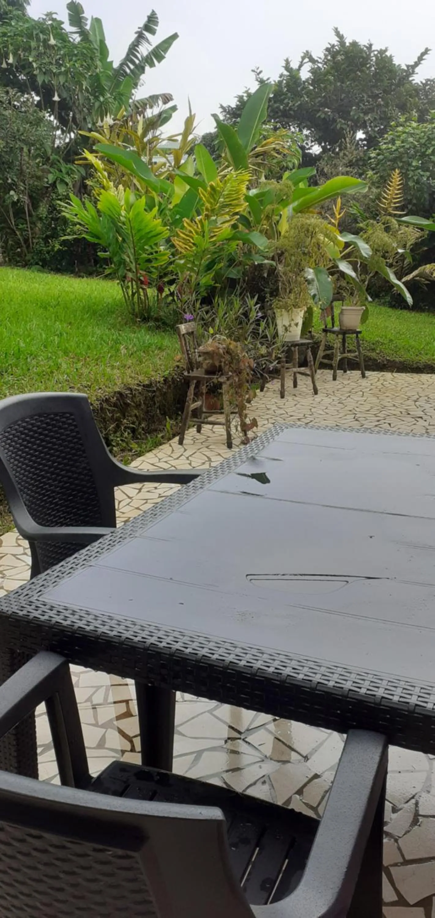 Garden in Montaña Linda Guest House Orosi