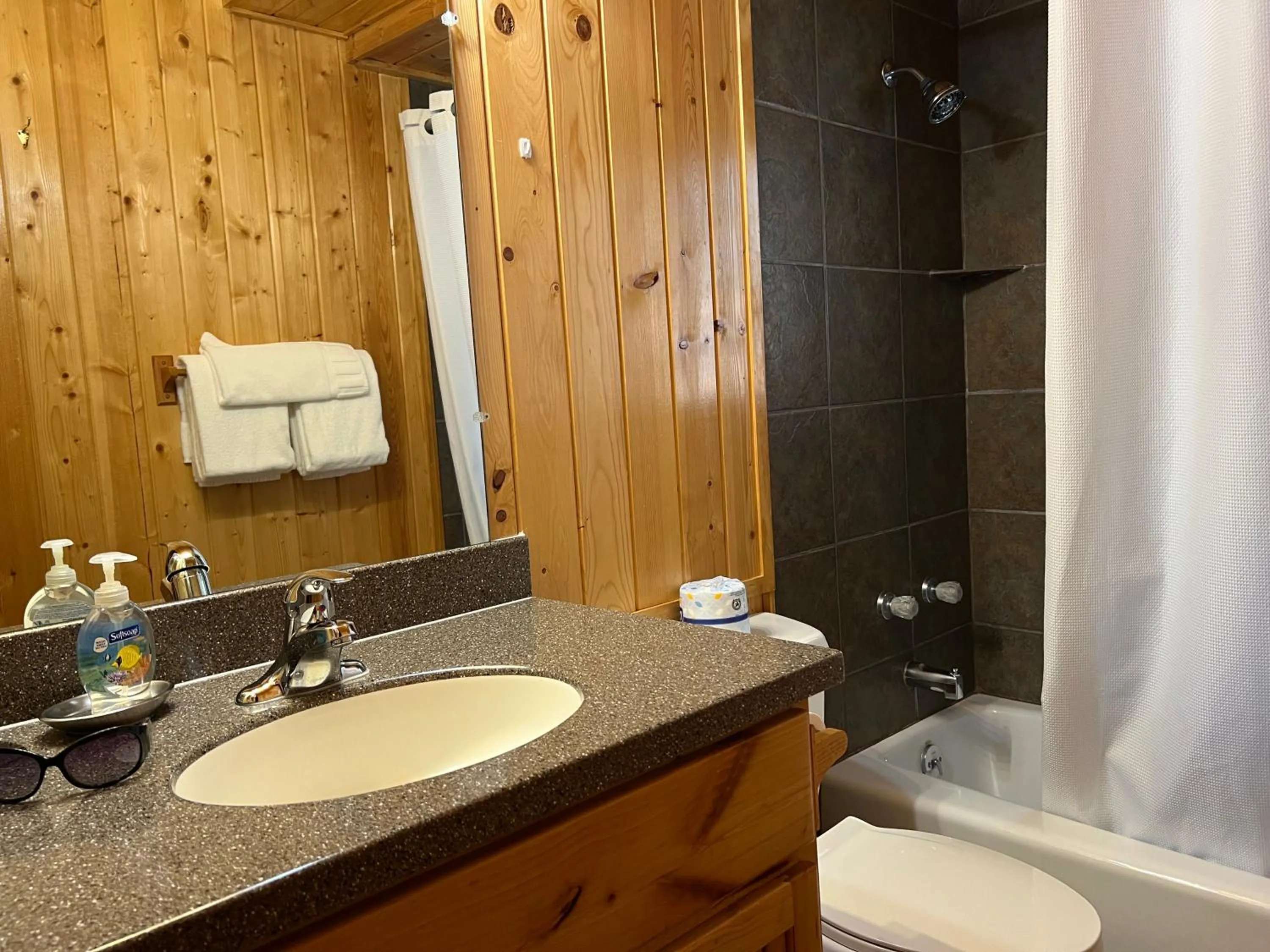 Toilet in Faithful Street Inn