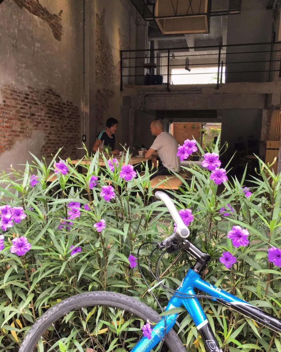 UdonBackpackers Beds and Cafe