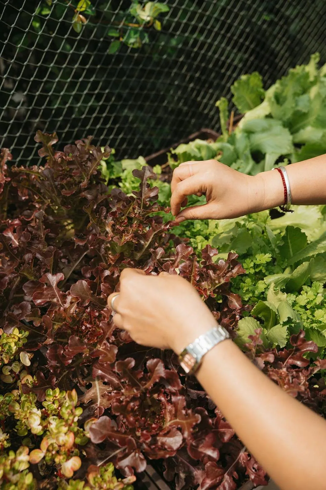 Indie Beach Bungalows