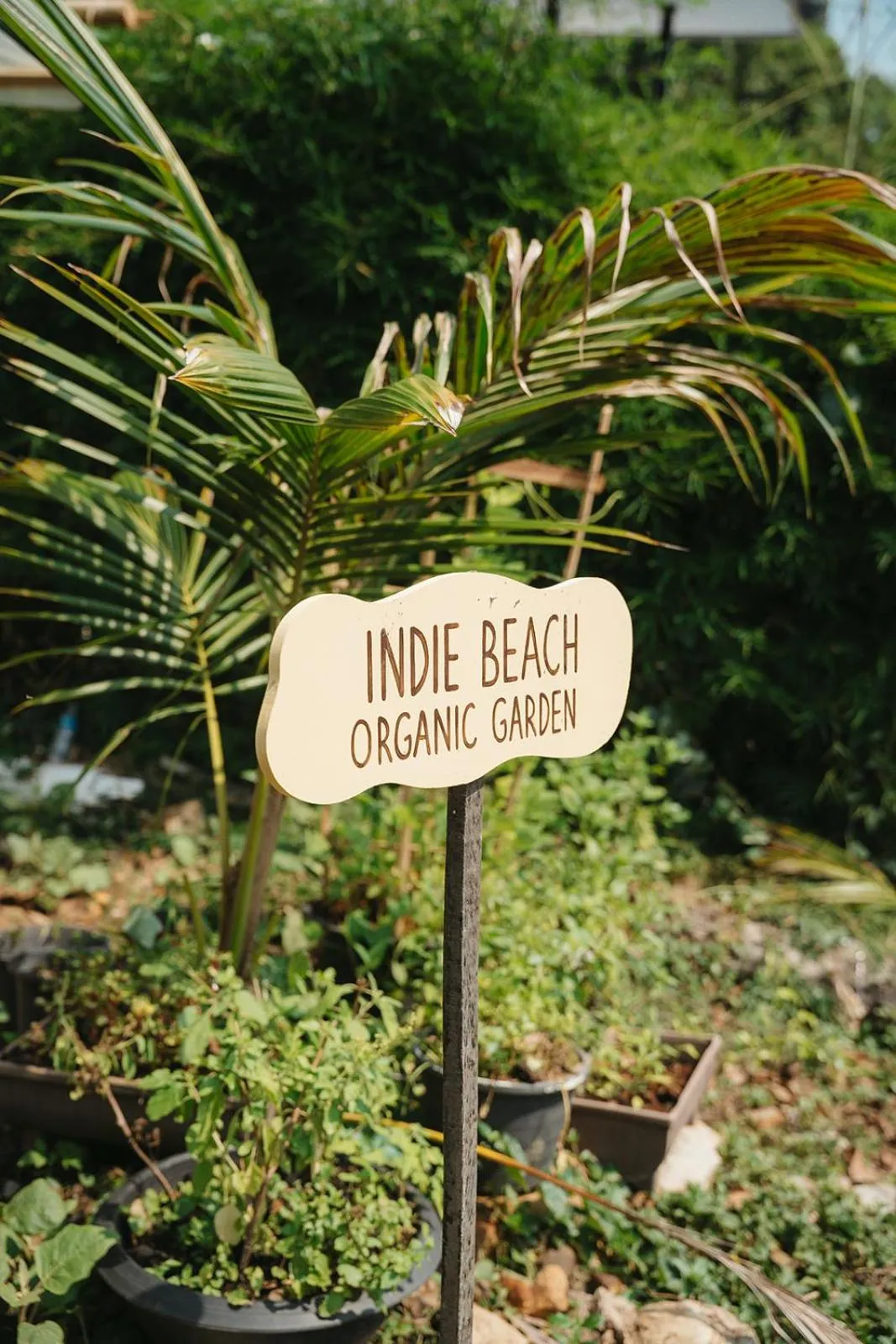 Indie Beach Bungalows