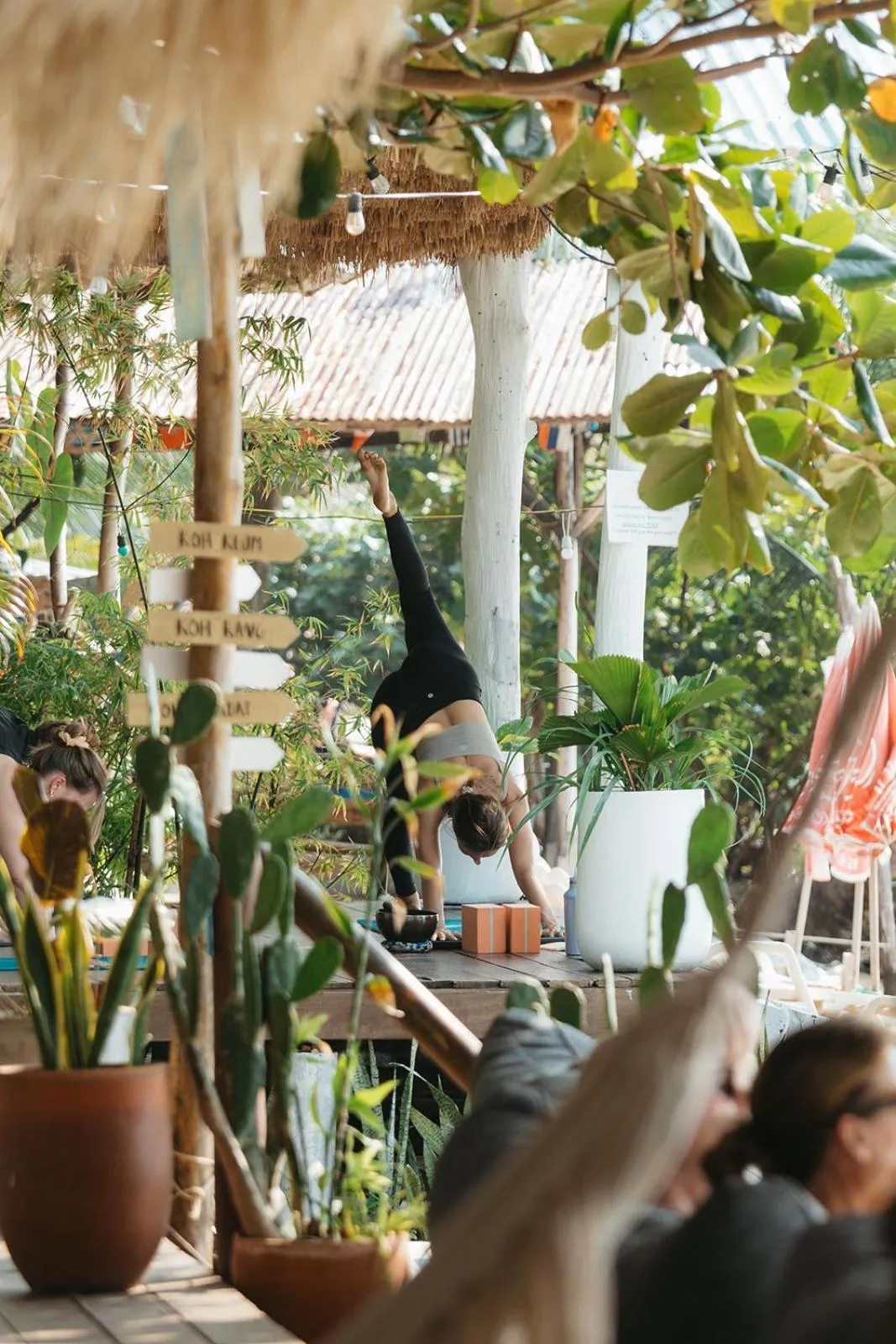 Indie Beach Bungalows