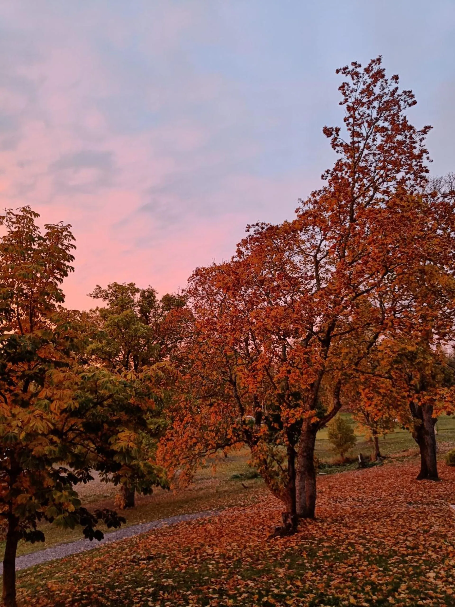 Natural landscape in Joensuun Tilan Päärakennus