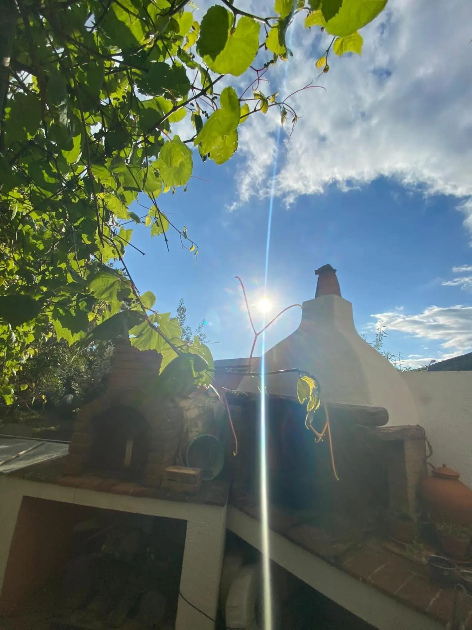 Property building in B&B Su Tostainu