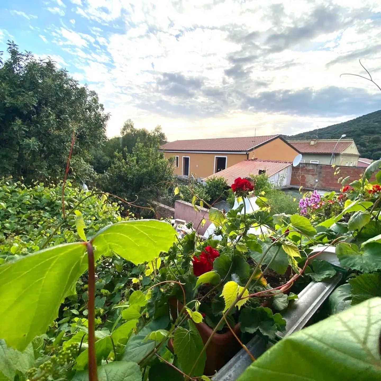 Property building in B&B Su Tostainu