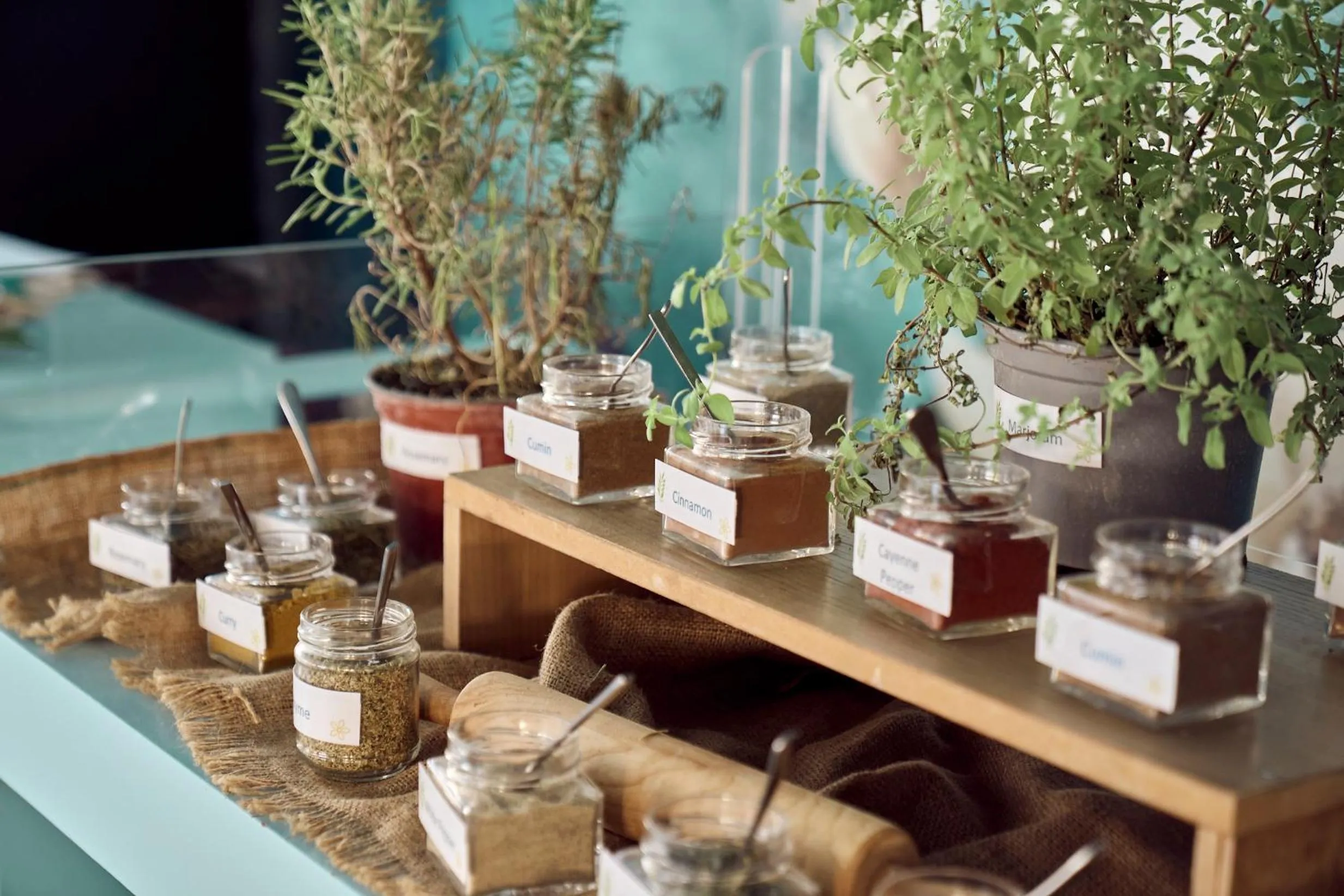 Restaurant/places to eat in Asterias Beach Resort