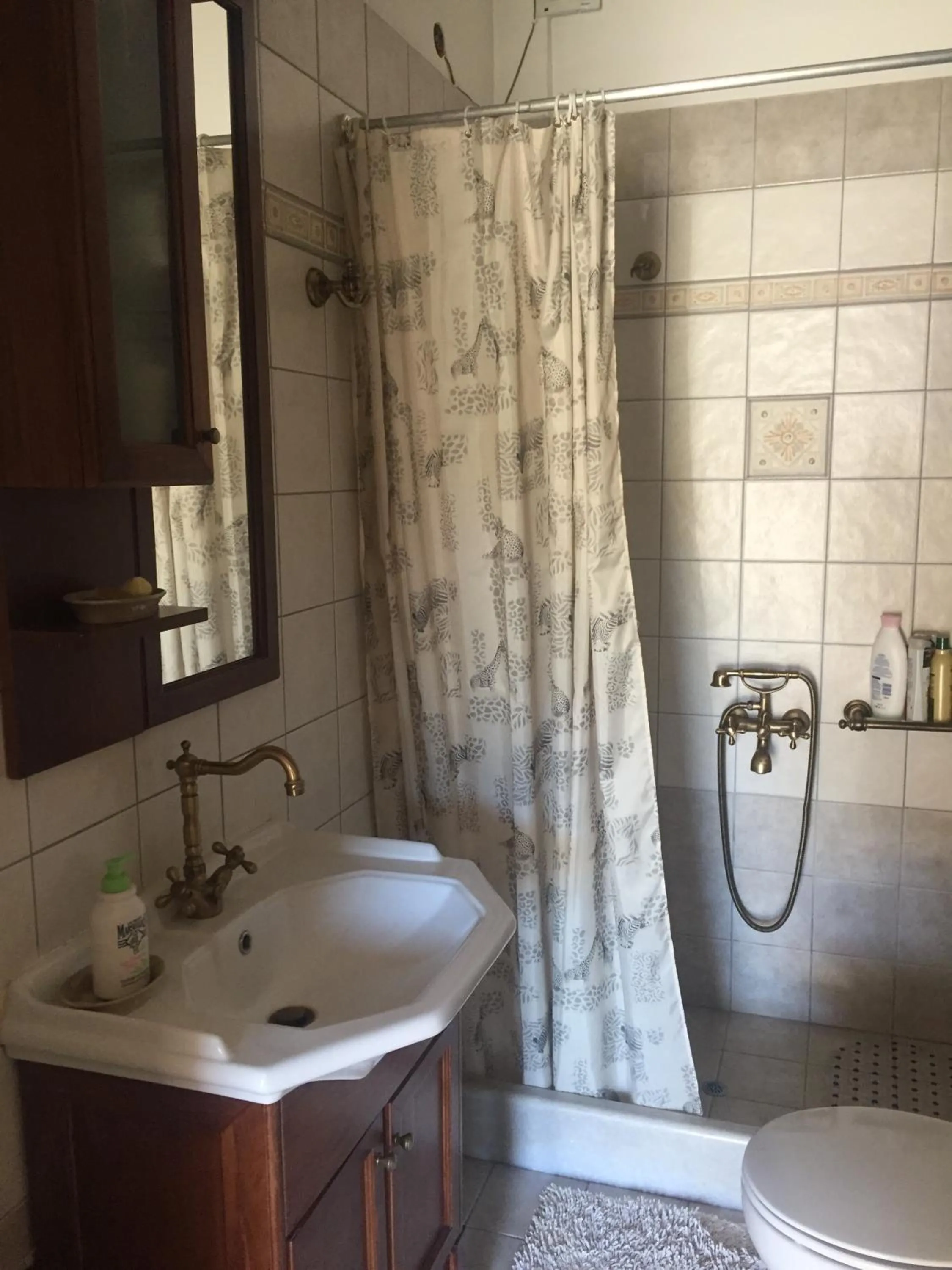 Bathroom in Stephania's Stone House