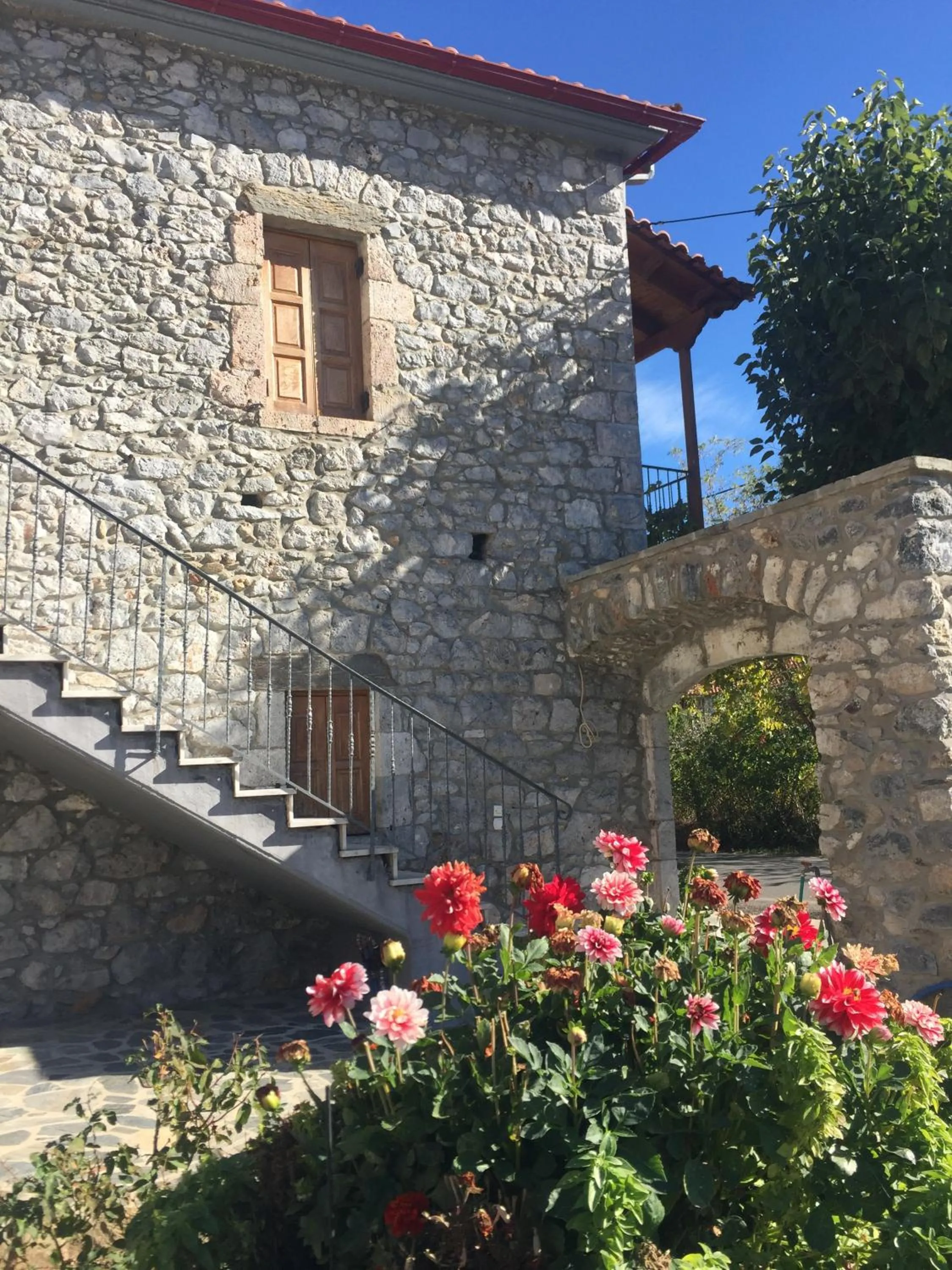 Garden in Stephania's Stone House
