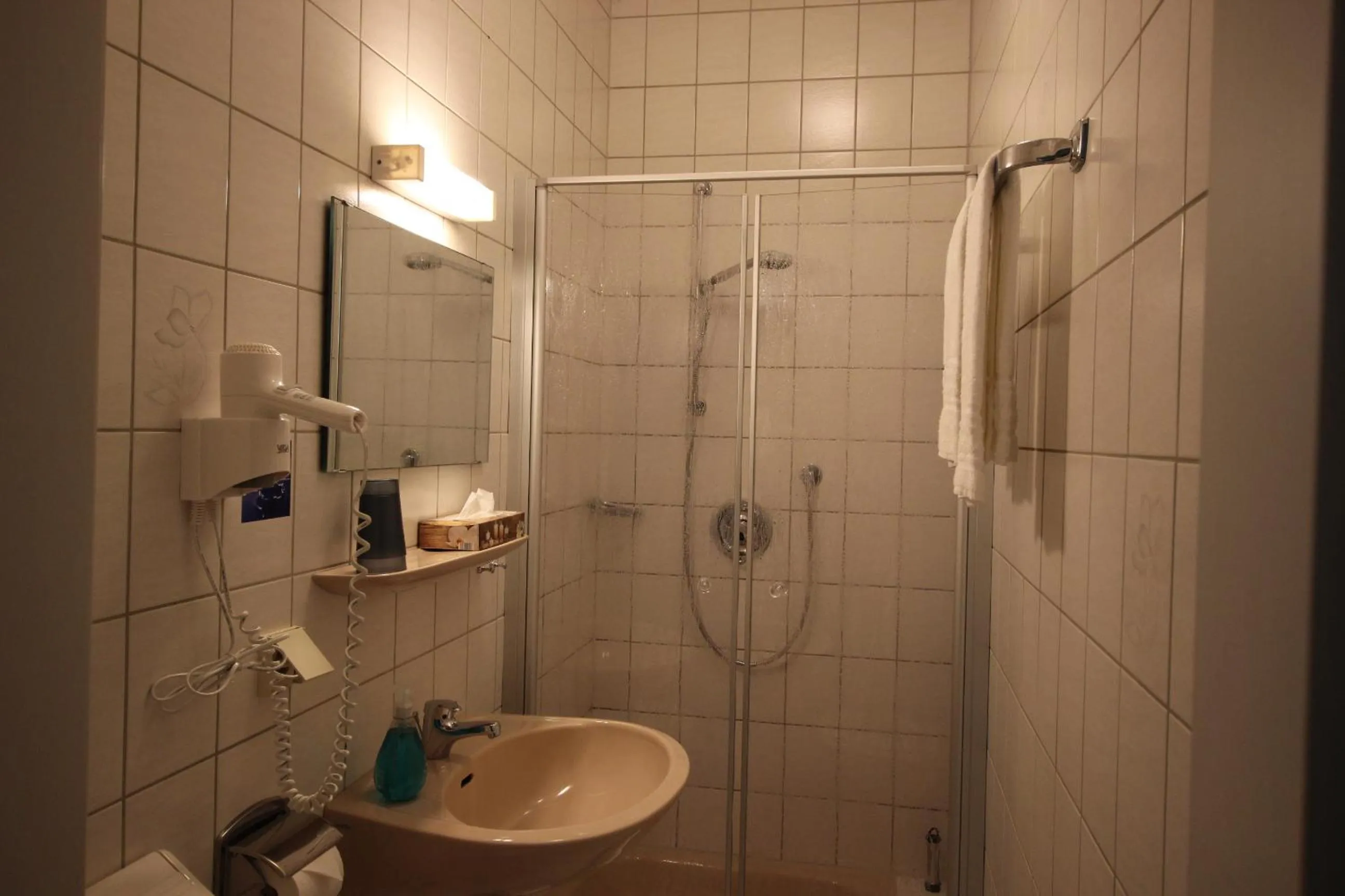 Bathroom in Hotel Berghof