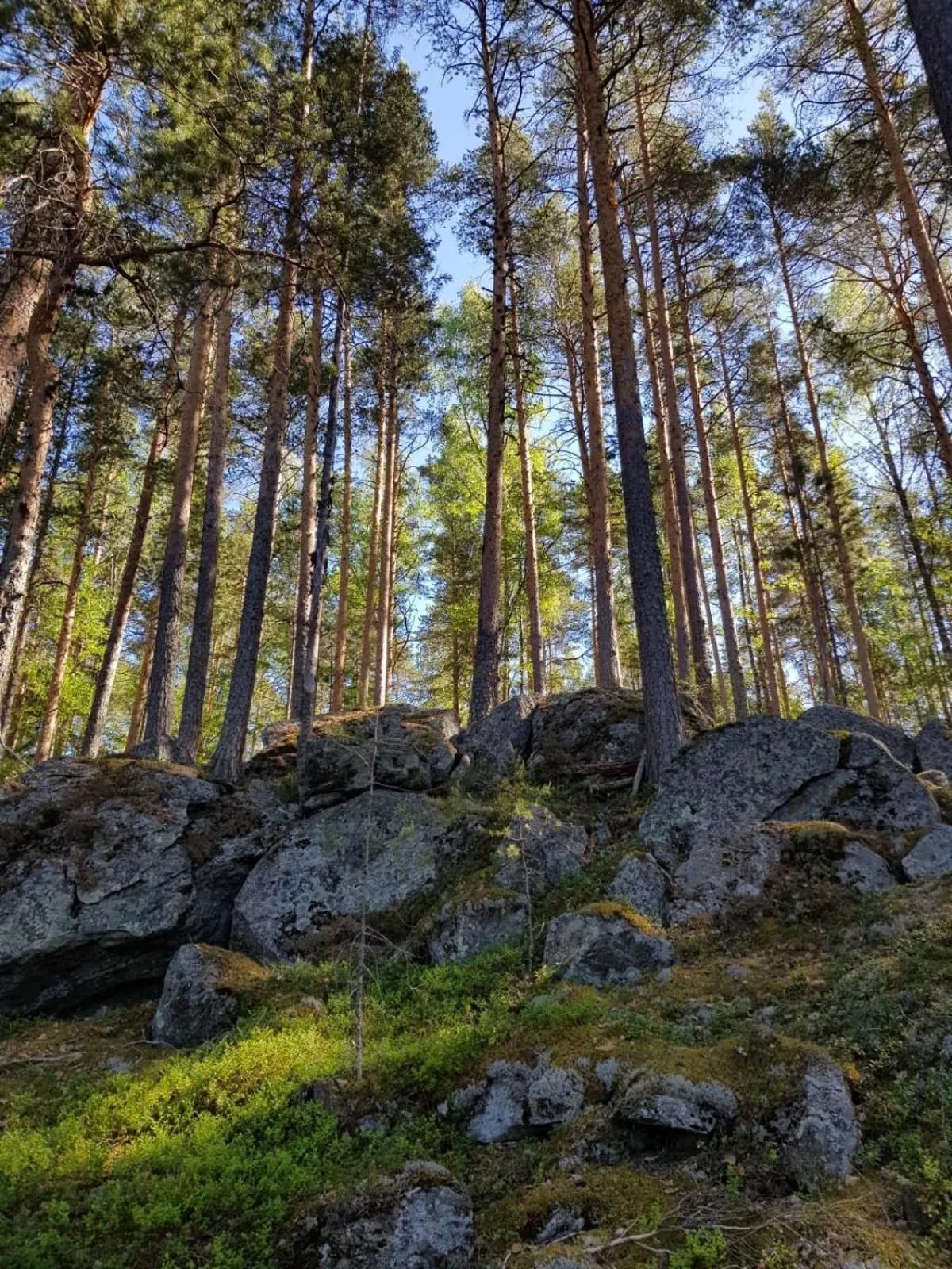 Natural landscape in Niemilomat