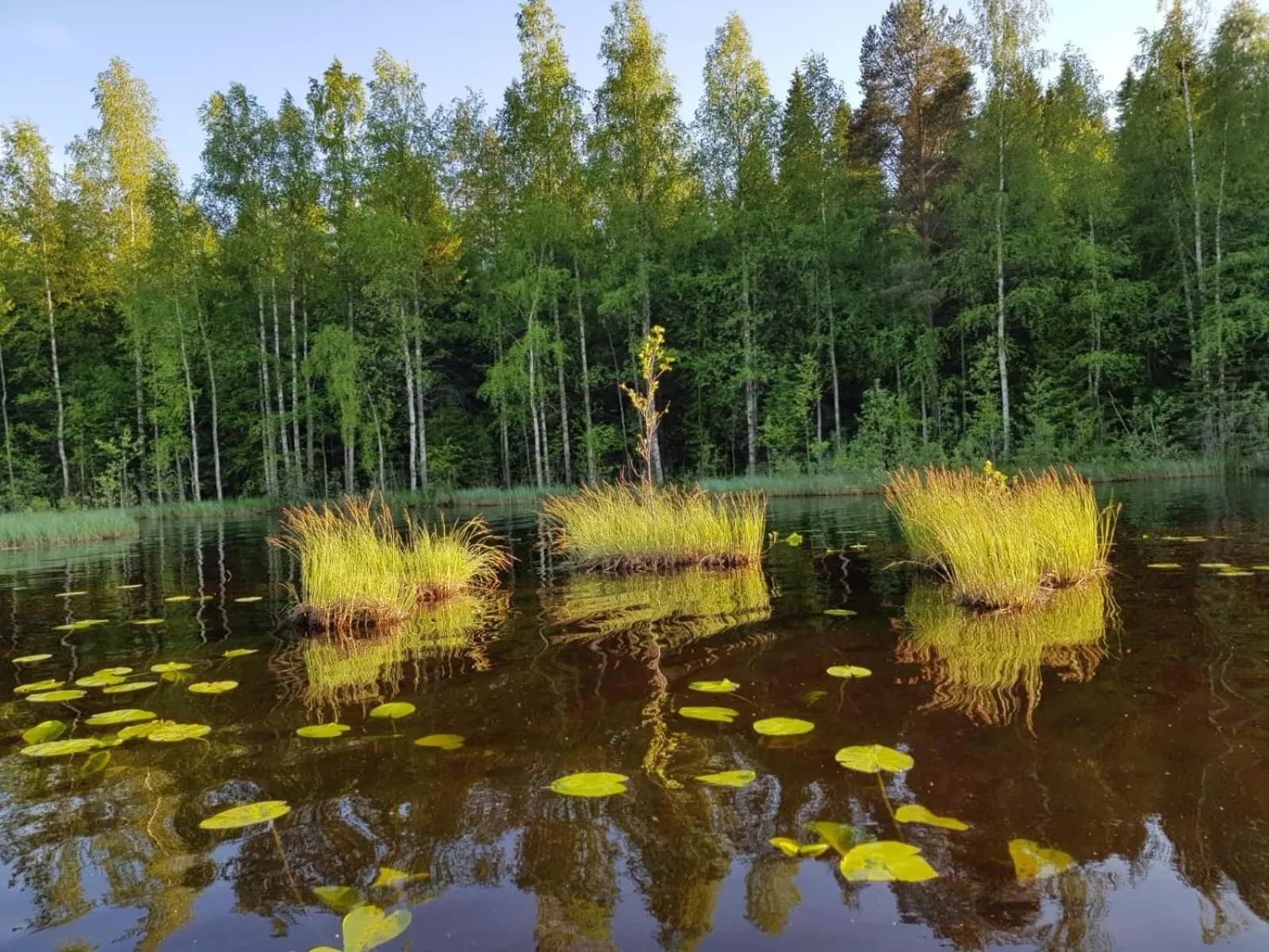 Natural landscape in Niemilomat
