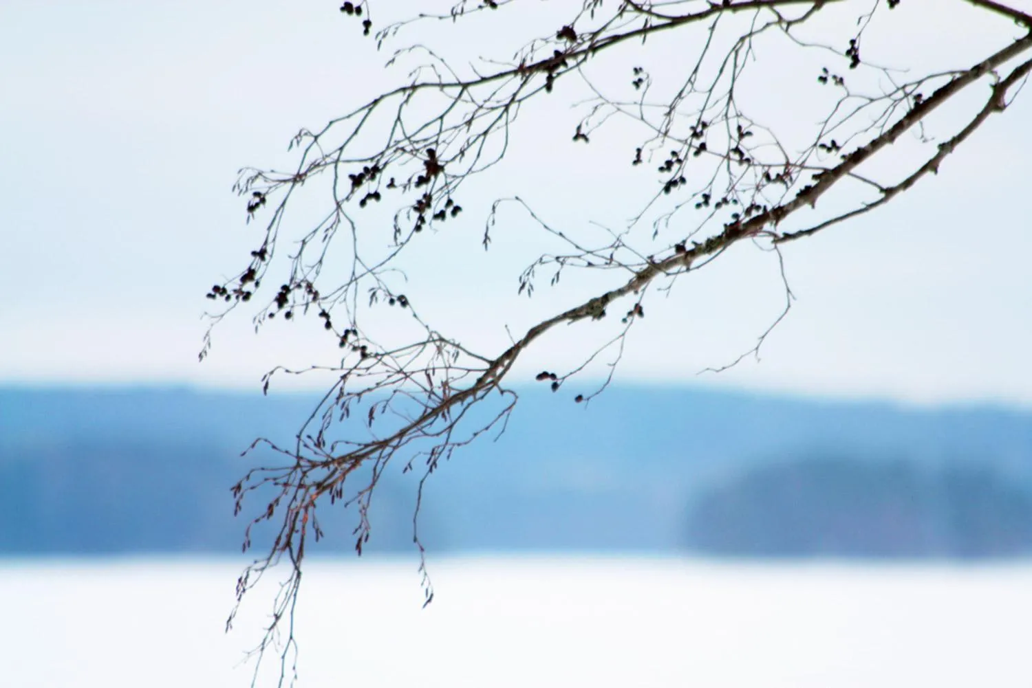 Natural landscape in Niemilomat