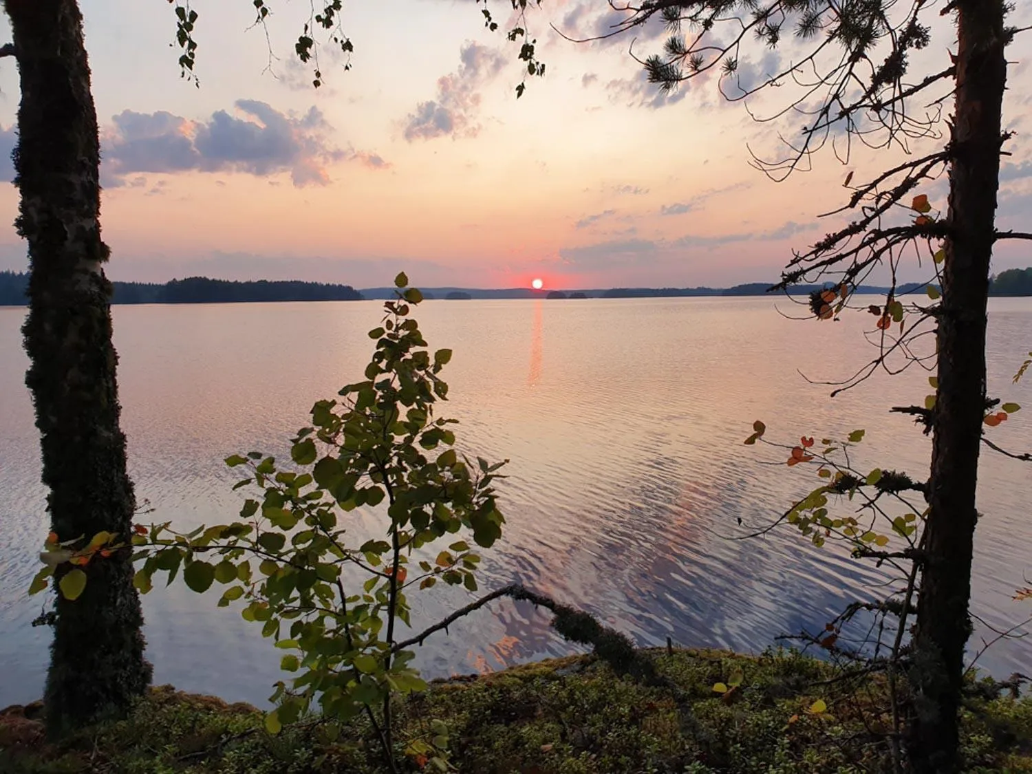 Natural landscape in Niemilomat